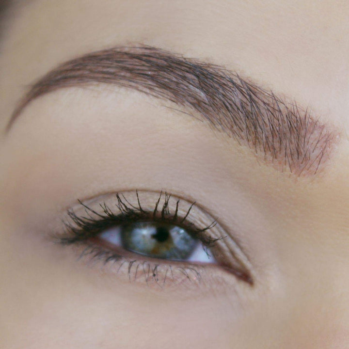 1 pc Brow Tint, Blond : Tinted Brow Gel, Blond Eyebrow Makeup Filler for Perfect Brow Shaping, Made in the USA, Paraben Free, Cruelty Free