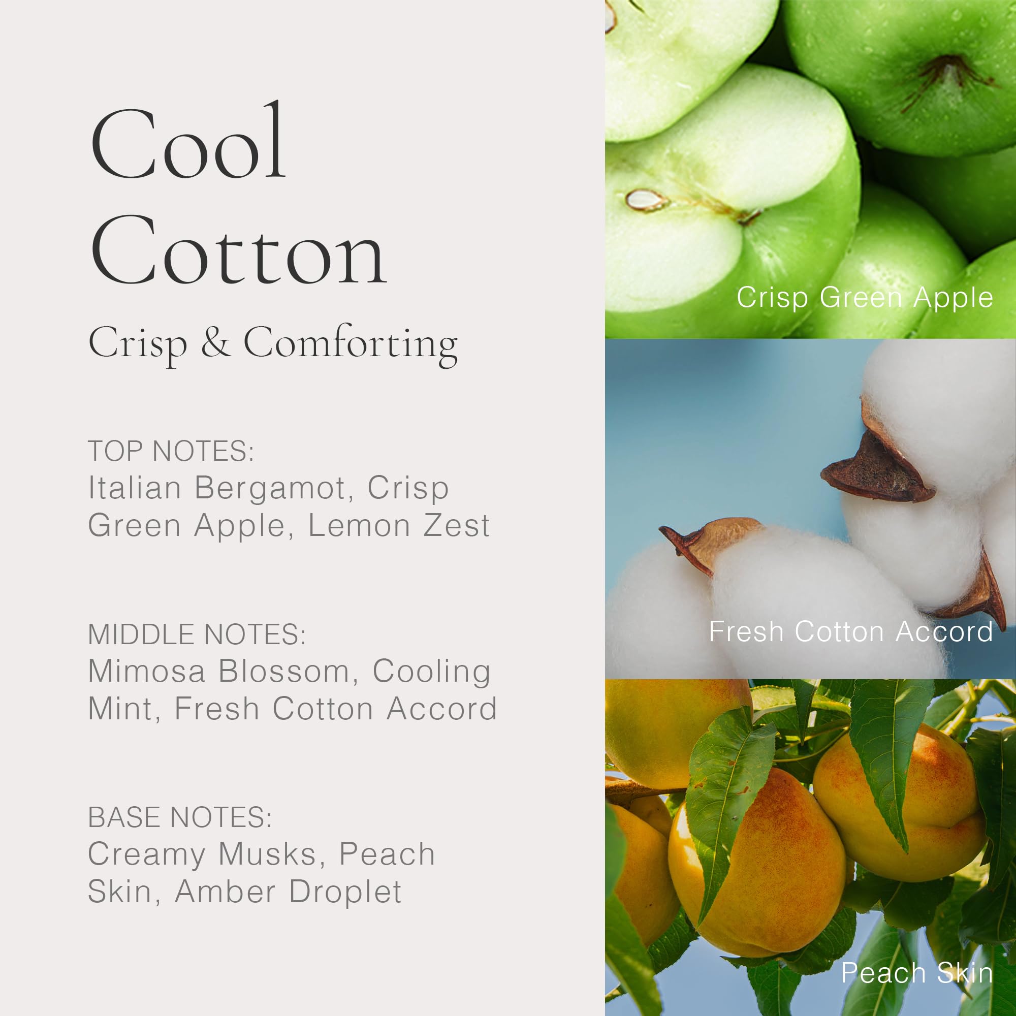 Clean Beauty Classic Cool Cotton Eau de Parfum 30ml