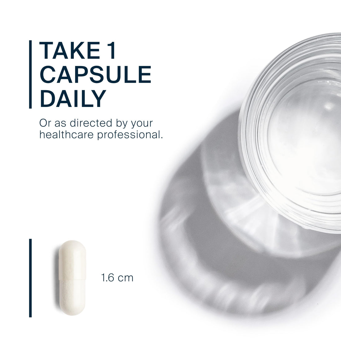 Vital Nutrients Vitamin D 2000 IU | Vitamin D3 Supplement | Healthy Bones, Teeth, Muscles*| Cellular & Immune Function | Calcium Absorption | Gluten, Dairy and Soy Free | 90 Capsules