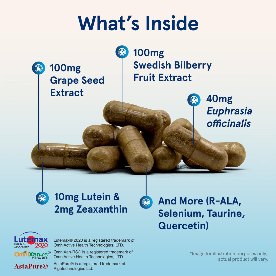 Jarrow Formulas® Vision Optimizer, Dietary Supplement, Vision Complex, Supports Visual Function, 90 Capsules, Up to a 30 Day Supply