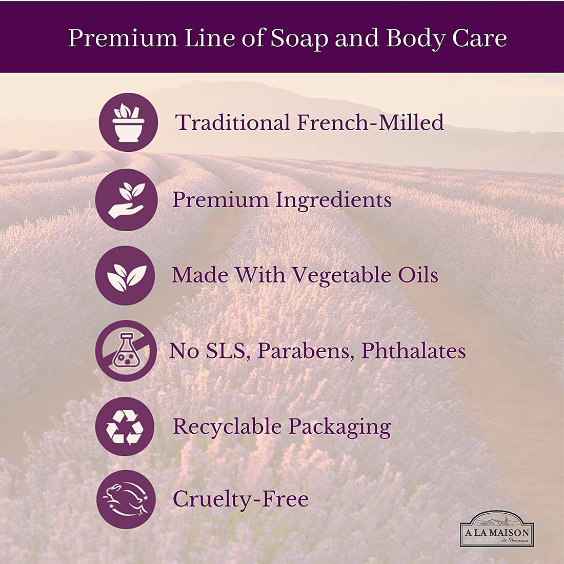 A La Maison Sweet Almond Hand & Body Lotion - 8 fl. oz