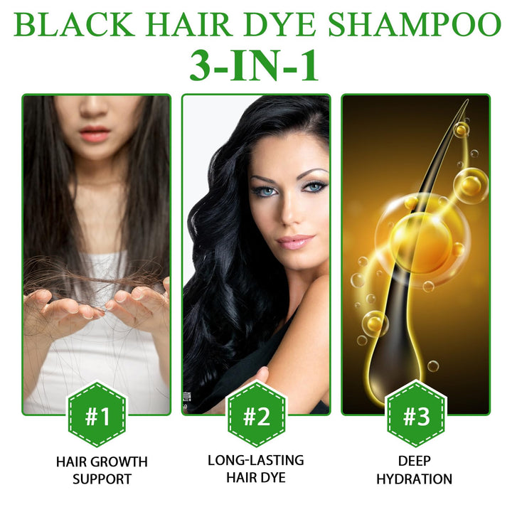ALIVER Hair Dye Shampoo (Black) - 3-in-1 Natural Herbal Essence: Coloring, Nourishing, and Hair Growth Promoter - 500ml, Hypoallergenic and Harmless for Scalp Care