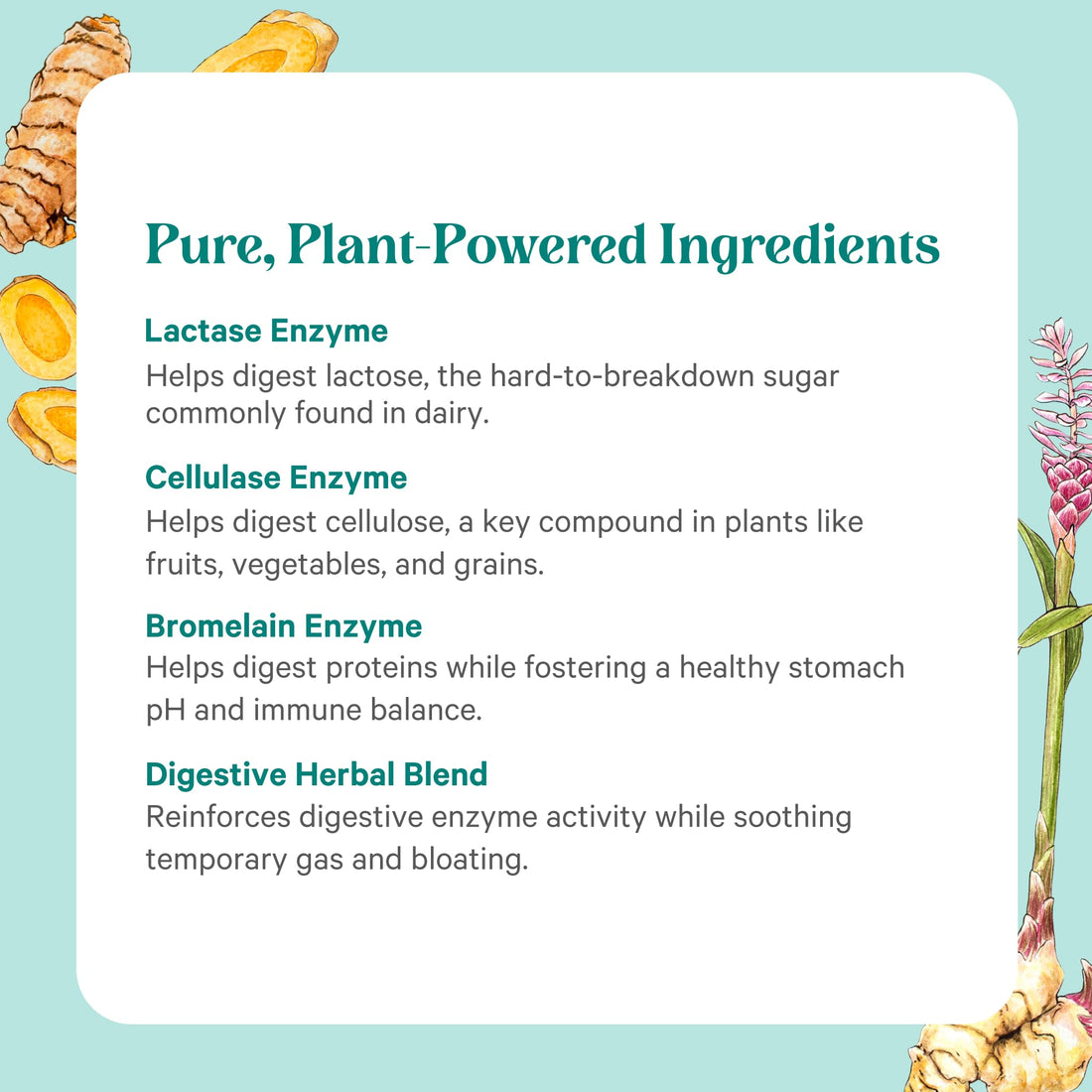 PURE SYNERGY Enzyme Power | Digestive Enzyme Supplement | Digestive Health Enzymes with Nattokinase, Bromelain, and Serrapeptase | for Digestive and Gut Health (90 Capsules)