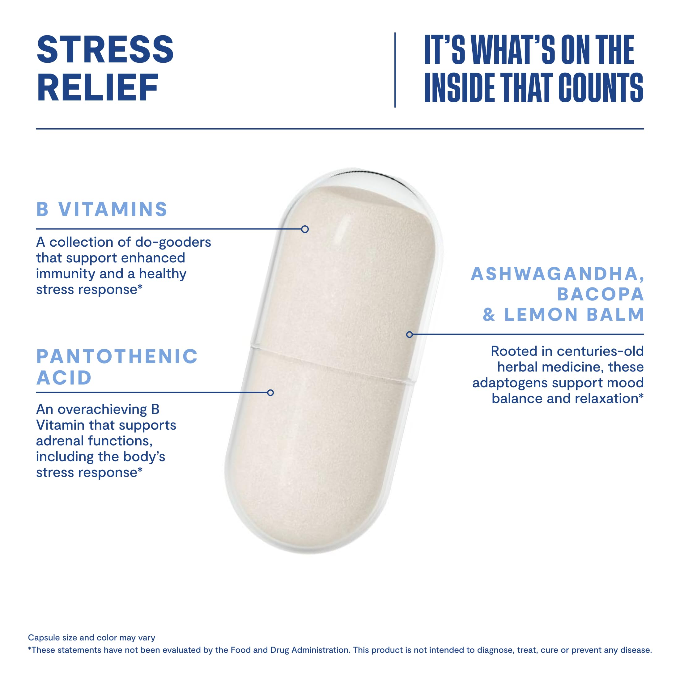 Habit Stress Relief Supplement (60 Capsules) - New Look, Supports Relaxation & Mood Balance, Vitamin B, Adaptogens, Lemon Balm, Calming, Vegan, Non-GMO (1 Pack)