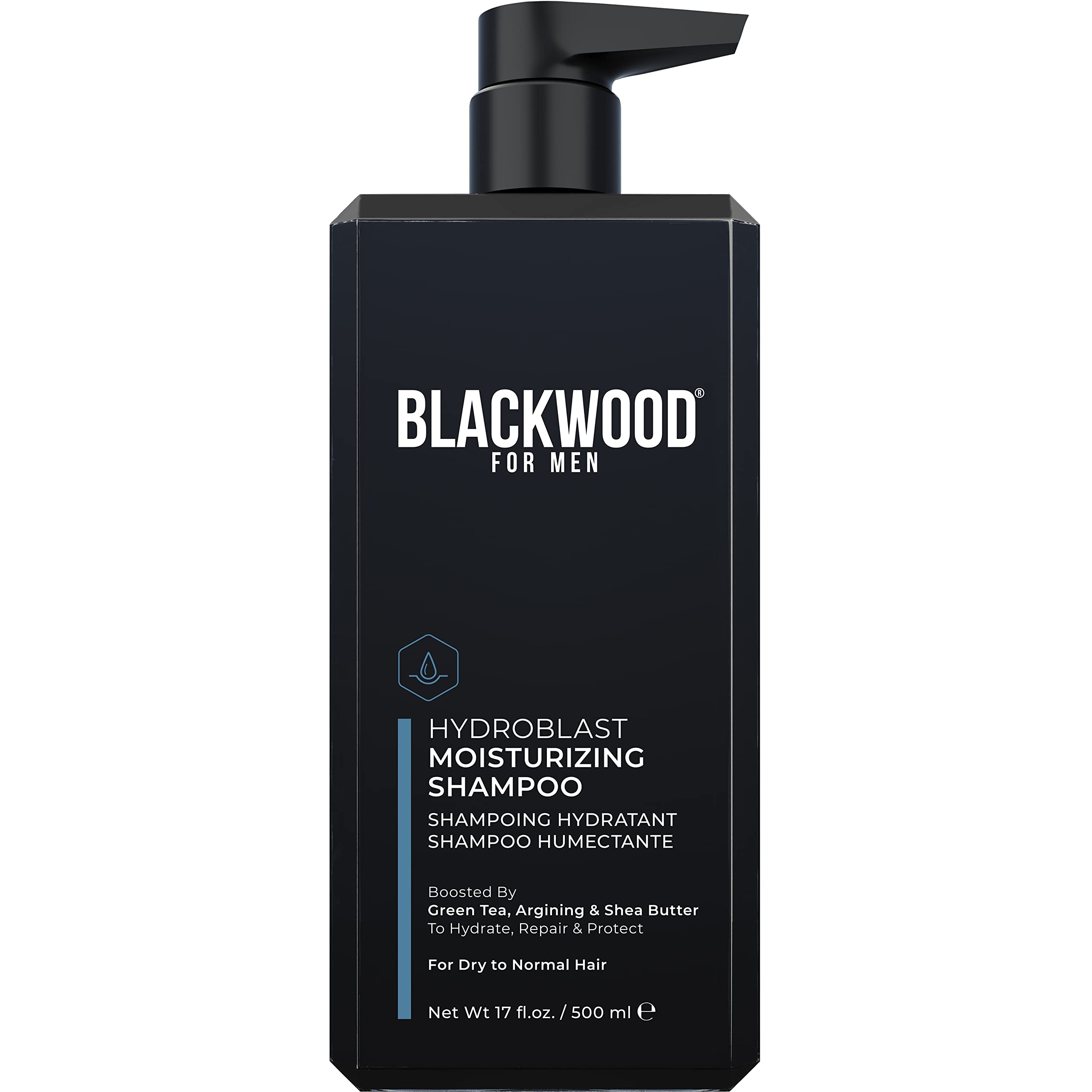 Blackwood For Men Hydroblast Moisturizing Shampoo - Men's Shampoo for Coarse, Dry, & Curly Hair - Infused with Ginseng & Ginger- Natural Vegan Formula -Sulfate Free, Paraben Free & Cruelty Free(17 Oz)