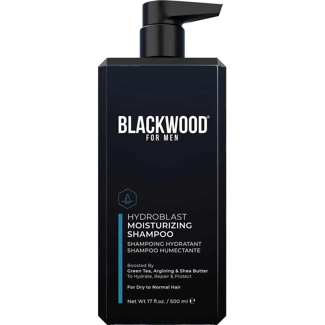 Blackwood For Men Hydroblast Moisturizing Shampoo - Men's Shampoo for Coarse, Dry, & Curly Hair - Infused with Ginseng & Ginger- Natural Vegan Formula -Sulfate Free, Paraben Free & Cruelty Free(17 Oz)