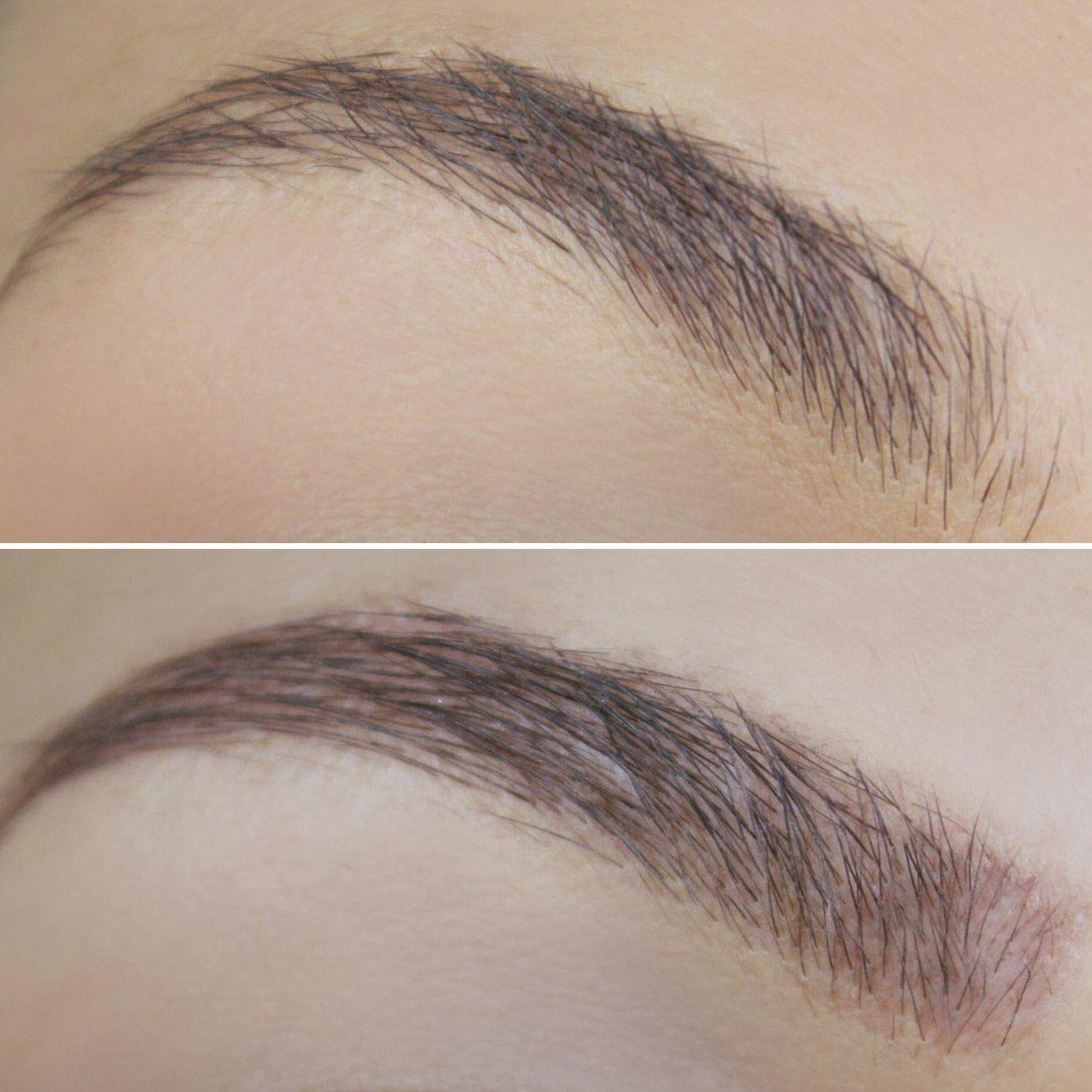 1 pc Brow Tint, Blond : Tinted Brow Gel, Blond Eyebrow Makeup Filler for Perfect Brow Shaping, Made in the USA, Paraben Free, Cruelty Free