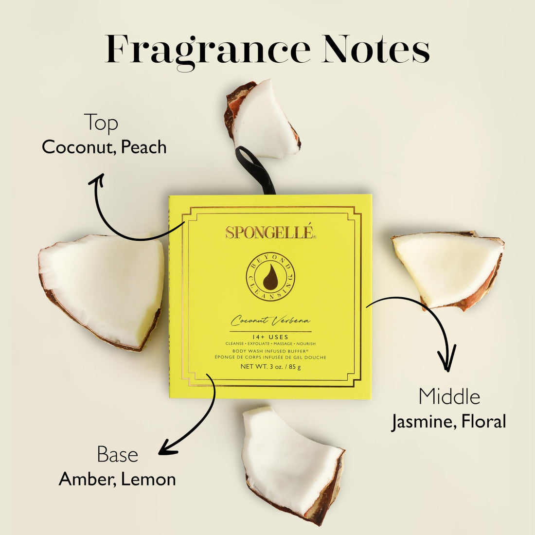 SPONGELLE COCONUT VERBENA BOXED FLOWER BUFFER