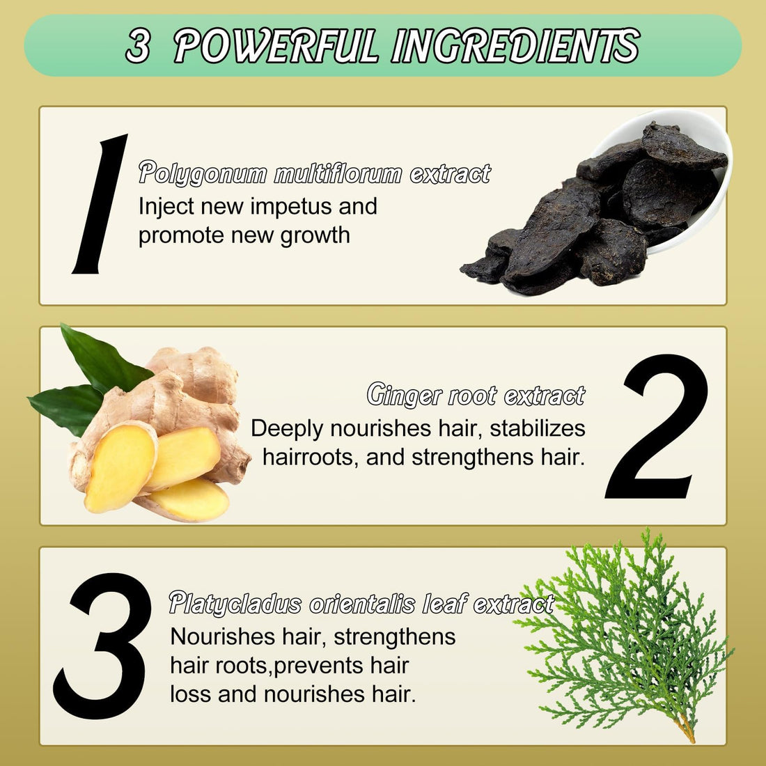 Rednow Ginger Plant Extract Hair Shampoo,Ginger Extract Shampoo,Polygonum Multiflorum Hair Strengthening Shampoo,Hair Care Plant Shampoo,Hair Thickening Shampoo for Women Men (3PCS)