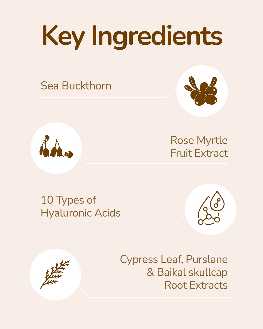 ROKKISS Skin-Balancing Oil Mist (3.4fl oz x 2ea) - Soothes, Moisturizes & Balances Skin. Sea Buckthorn, Hyaluronic Acid - Korean Skin Care