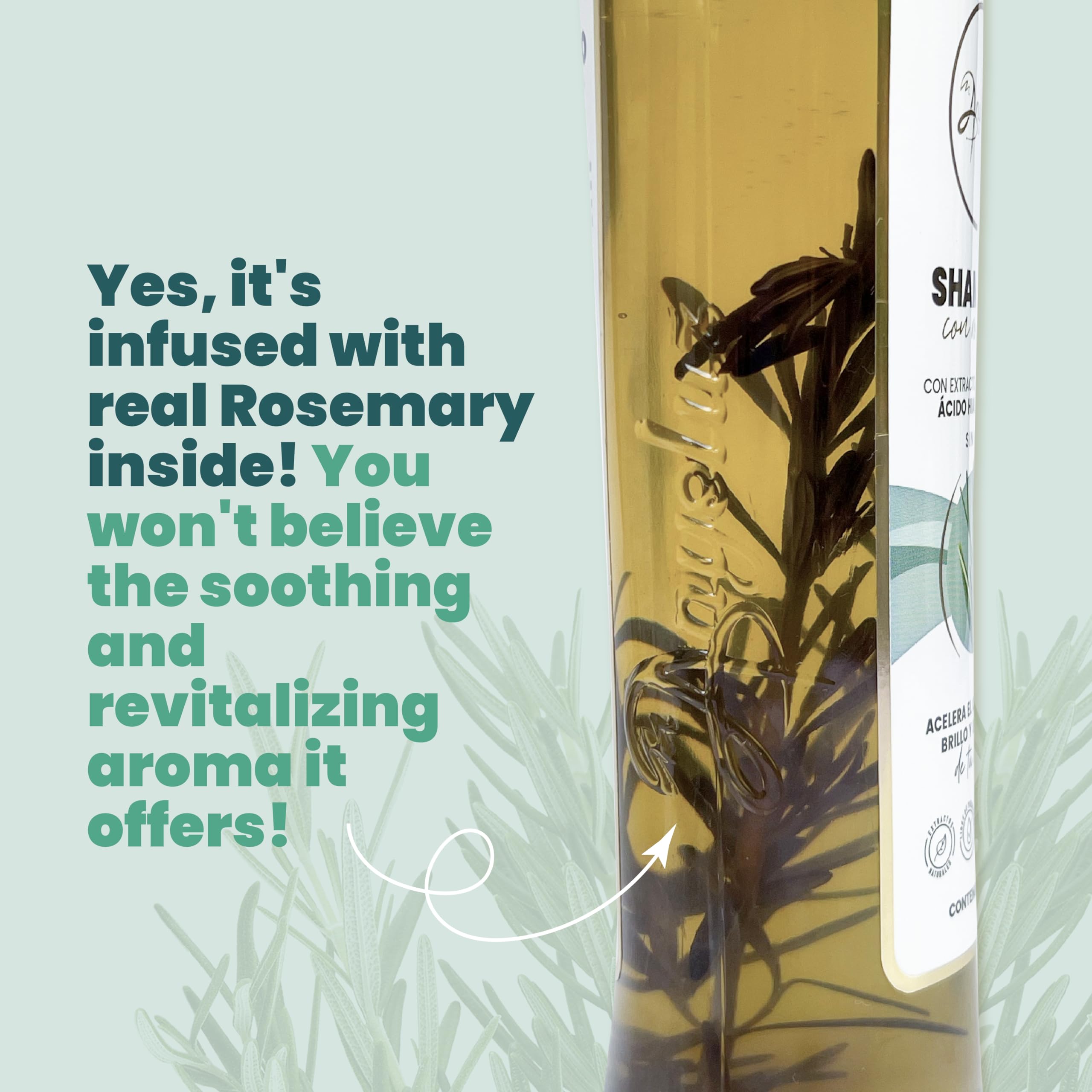 ANYELUZ Rosemary Shampoo and Aloe Conditioner Set, Volume and Hydration for your Hair, with Hyaluronic, Argan Oil and Rosemary, Moisturizes and Enhances Shine