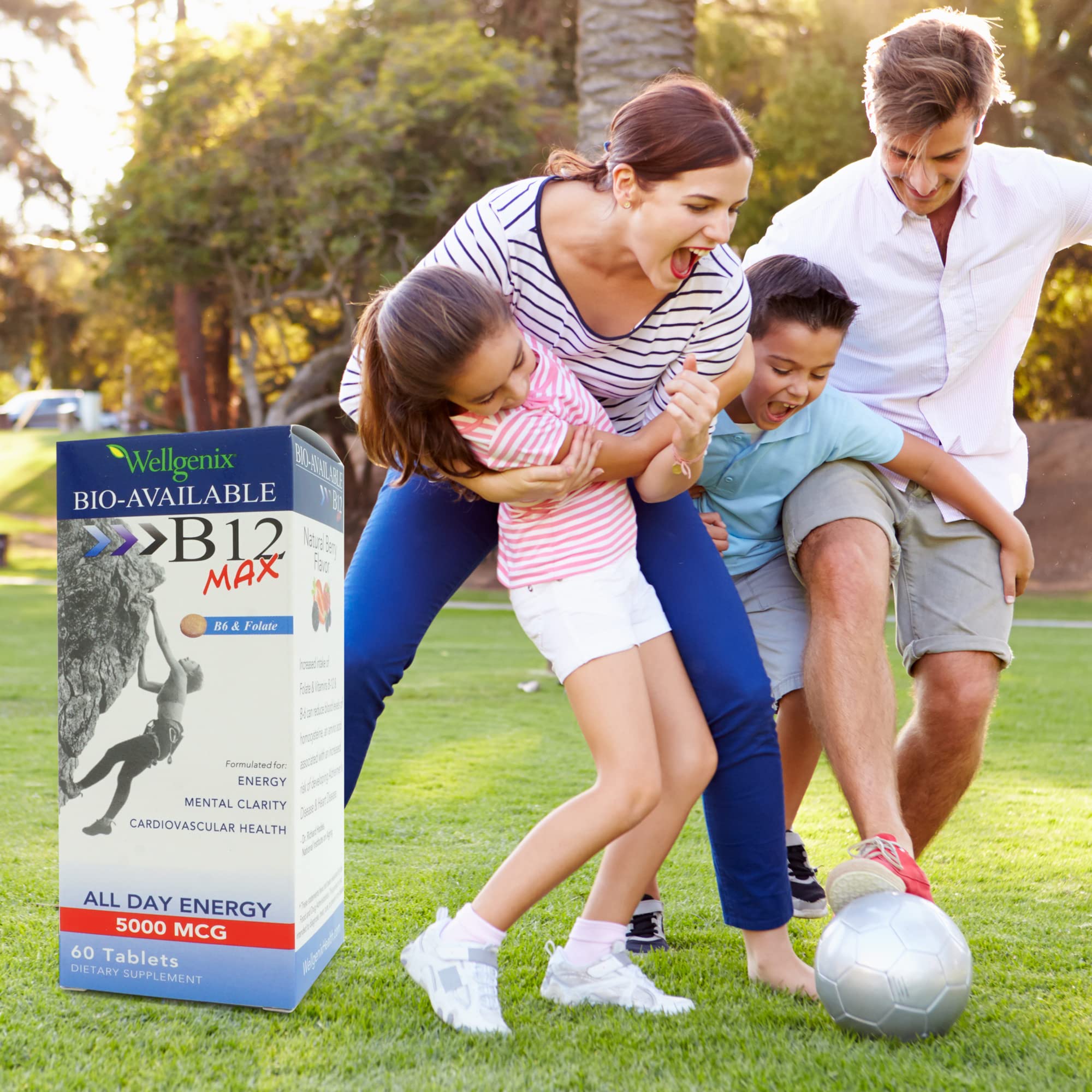 Wellgenix Bio-Available Sublingual B12 Max - Formulated for High Absorption - Nutritional Multivitamin B12, B6, Folate - Fast Dissolve (60 Ct) 2 Pack