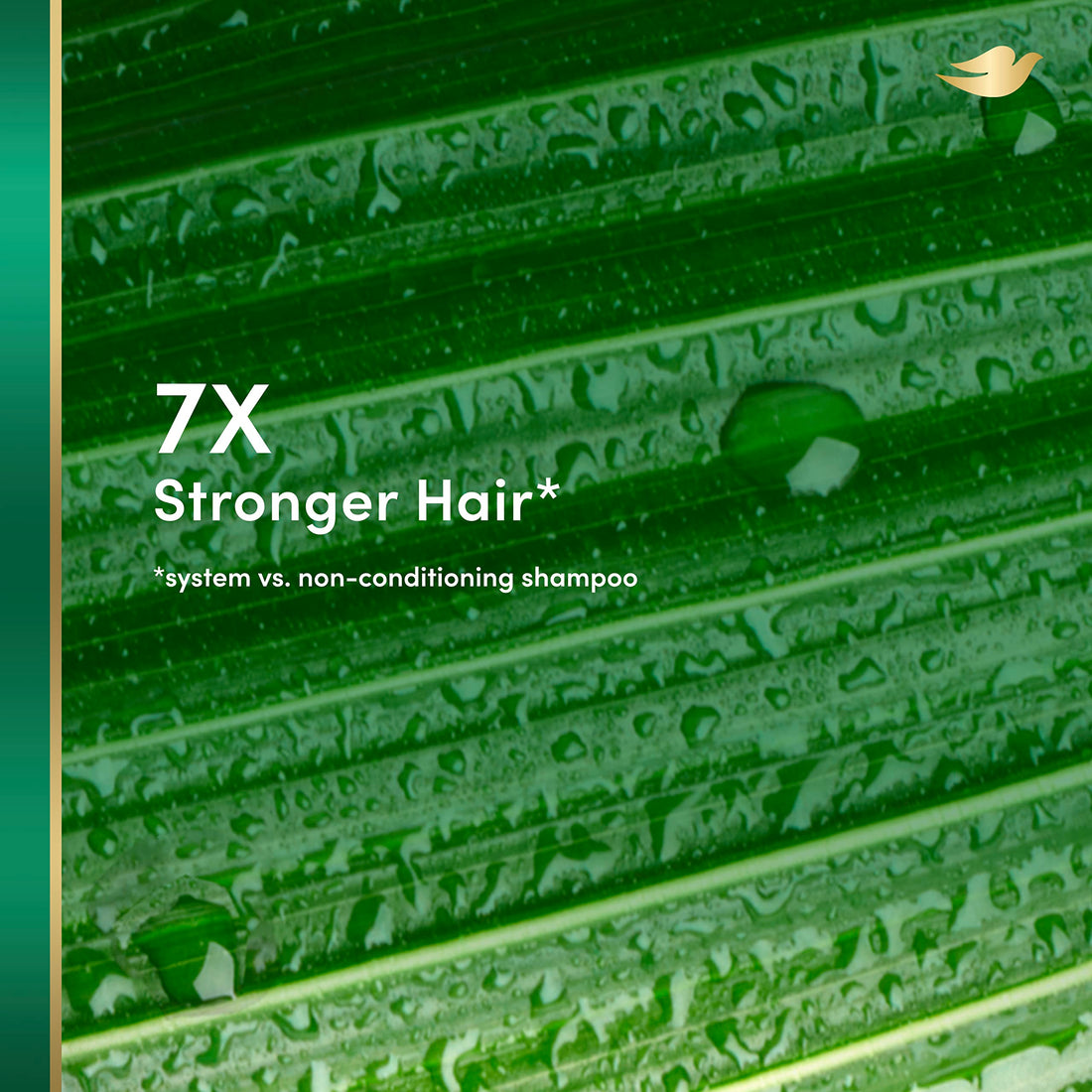 Dove RE+AL Bio-Mimetic Care Conditioner For Damaged Hair Repair Coconut + Vegan Keratin Silicone-Free Conditioner 10oz