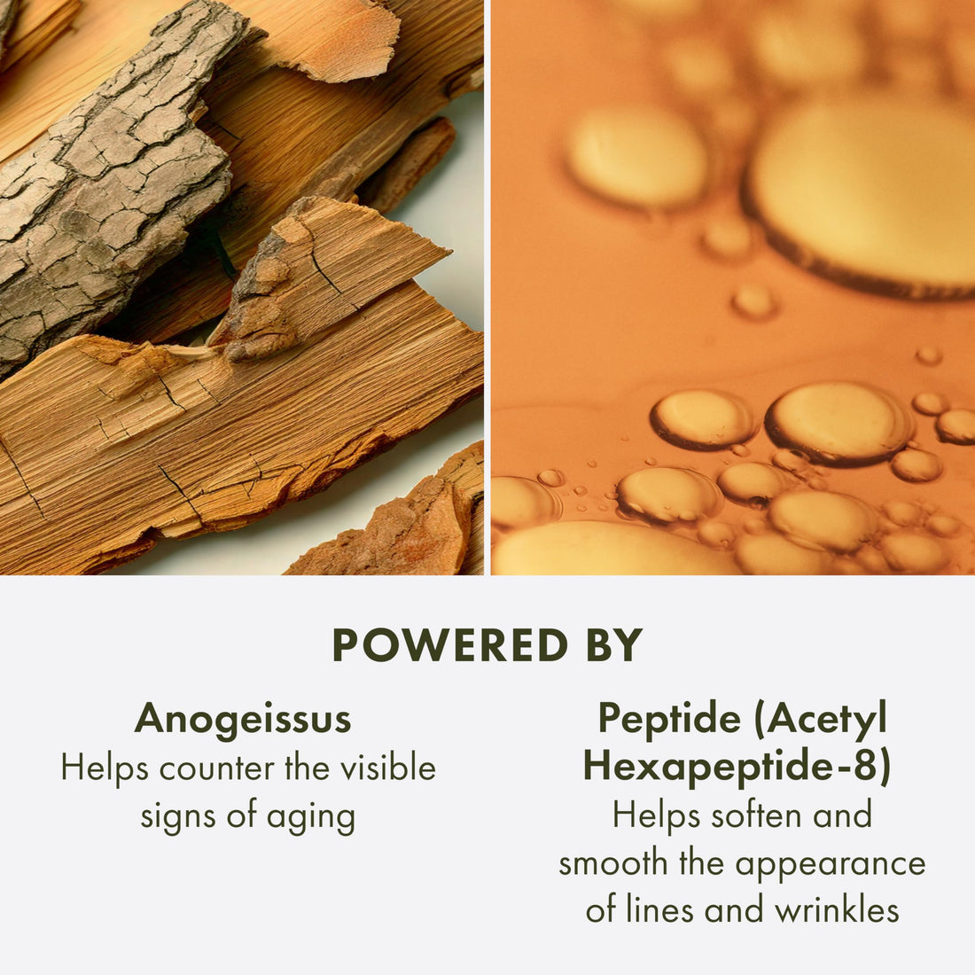 Origins Plantscription Anti-Aging Face Essence | Smooths & Preps Skin | With Peptide & Squalane Oil, 5 Fl Oz