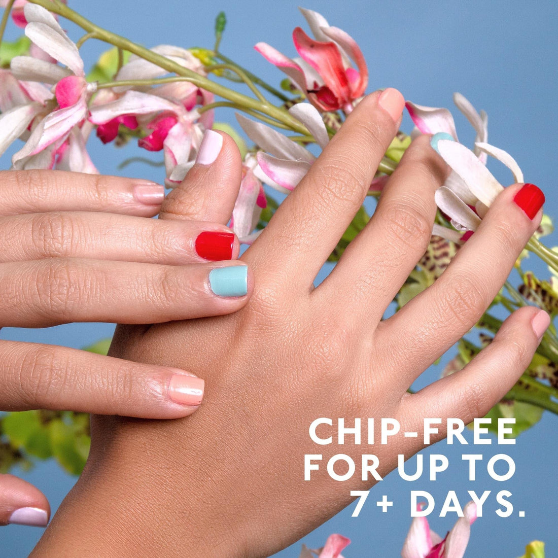 Flower Queen: Eternal 5 Collection â€“ 5 Pieces Set: Long Lasting, Quick Dry, Bright, Nude Or Sheer Nail Polish â€“ 0.46 Fl. Oz (Flower Queen)