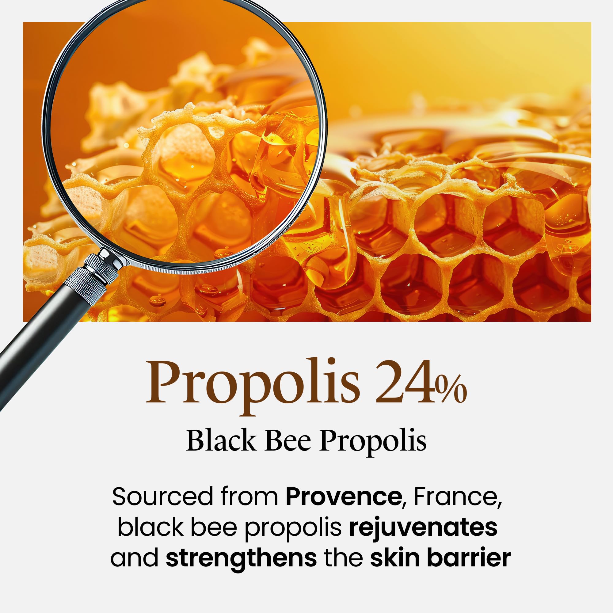 MAXCLINIC Propolis Barrier Ampoule | Deeply Nourishing Honey Ampoule Korean Skin Care & Face Serum for Women & Men | Skin-Fortifying Facial Serum Ampoule | Ceramide Calming Serum (3.38 fl oz)