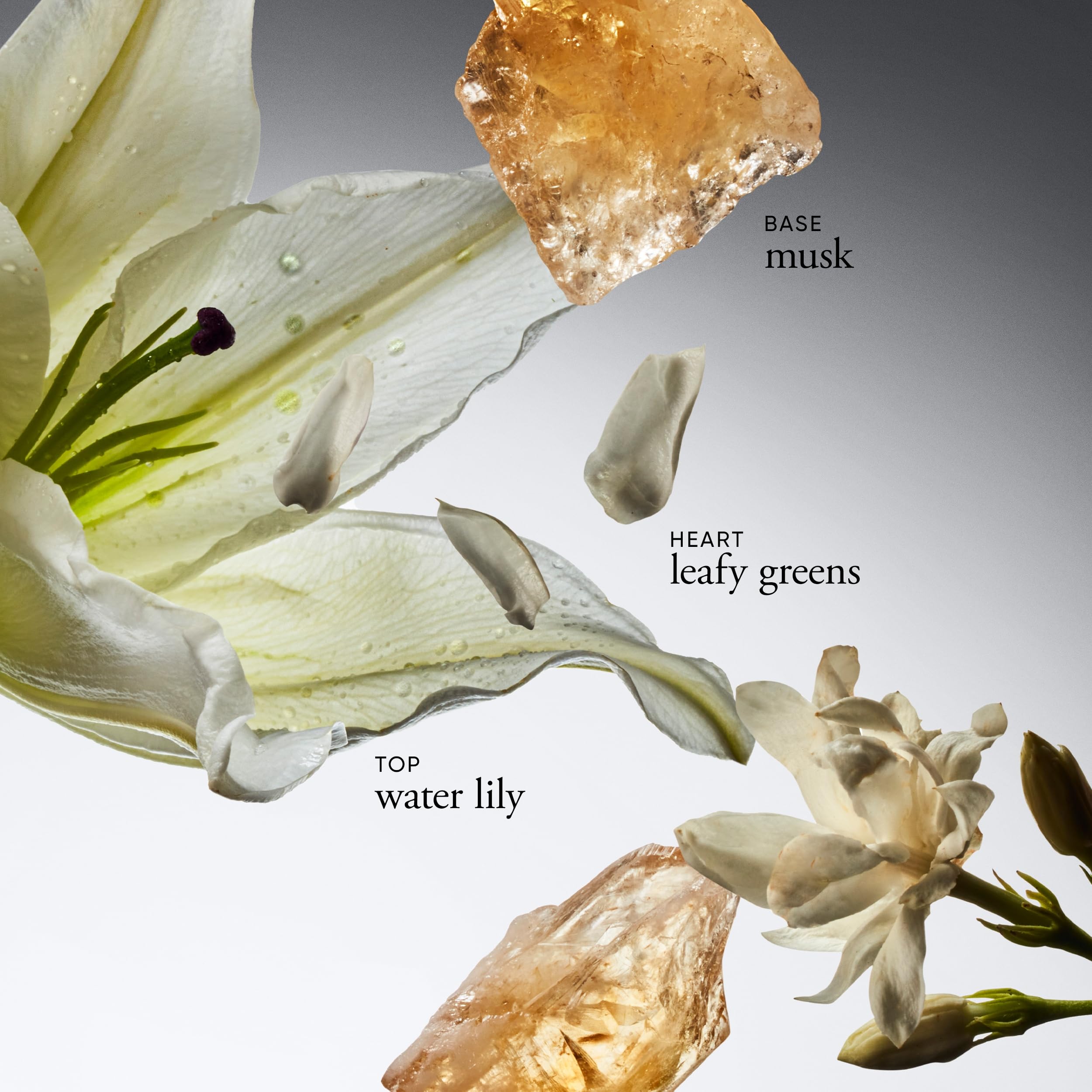 philosophy Pure Grace Spray Fragrance, 2 Fl Oz