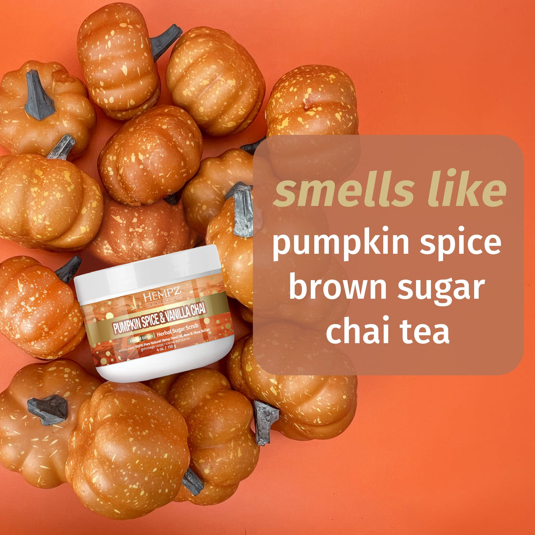 Hempz Limited Edition Pumpkin Spice & Vanilla Chai Herbal Lip Balm .44 oz