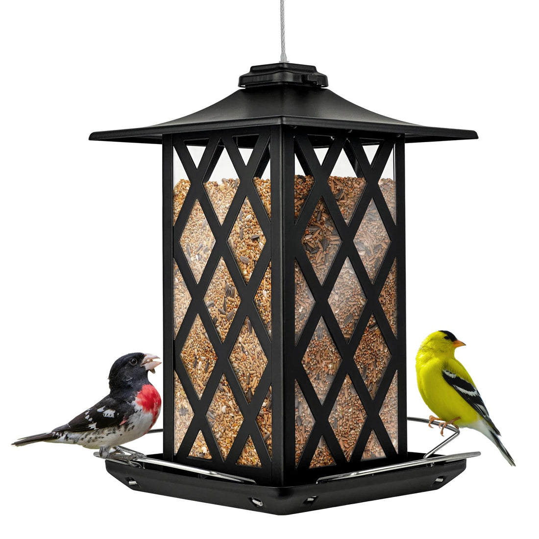 Nature's Way Outdoor Garden Décor Hanging Wild Bird Seed Feeder, Metal Lantern Gazebo Feeder, Easy Fill, Rain Drainage, Black