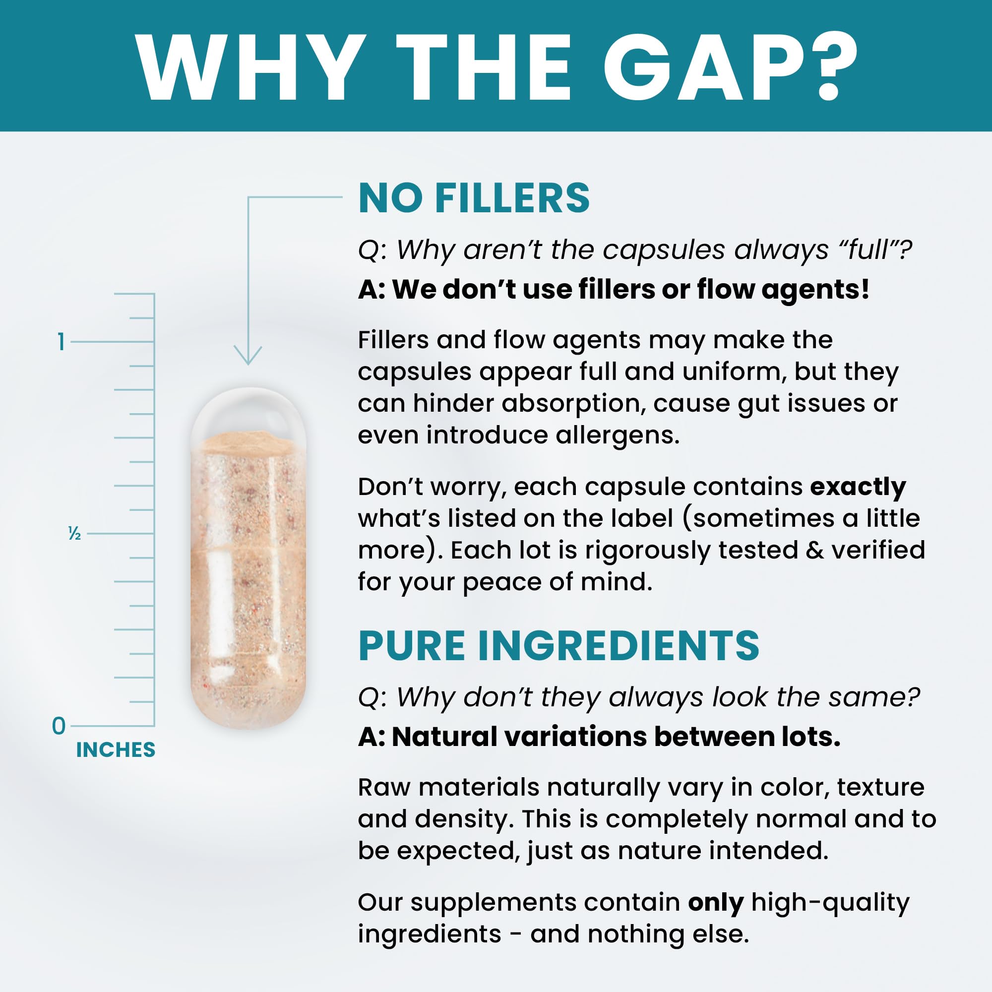 Methyl Multi Without Iron Methylated Multivitamin for Men & Women, 120-Day Supply | Methyl B12 & Methylfolate (5-MTHF) for MTHFR Support | Pharma Grade Multivitamin & Multimineral For Health, 240 Caps