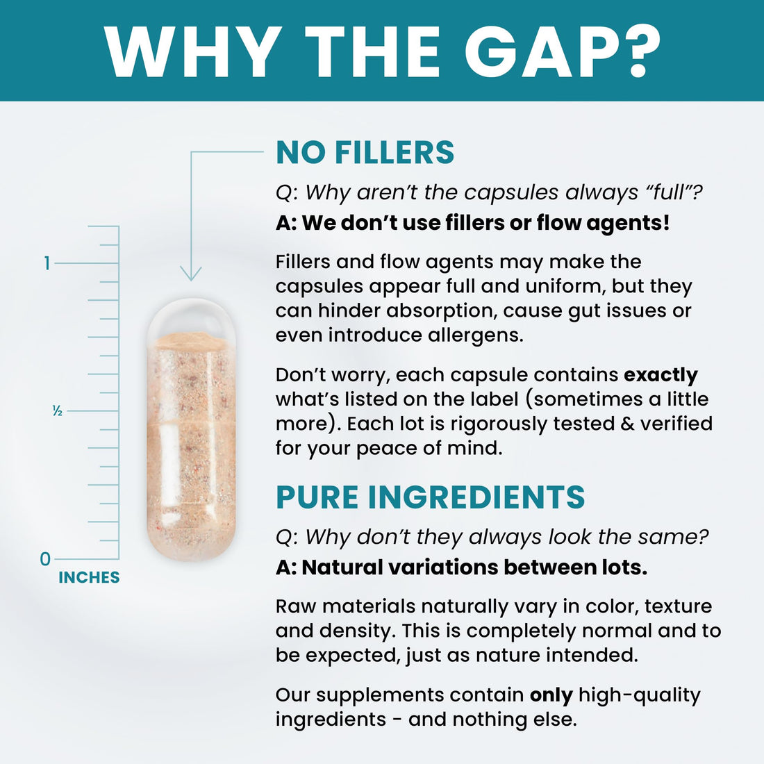 Methyl Multi Without Iron Methylated Multivitamin for Men & Women, 120-Day Supply | Methyl B12 & Methylfolate (5-MTHF) for MTHFR Support | Pharma Grade Multivitamin & Multimineral For Health, 240 Caps