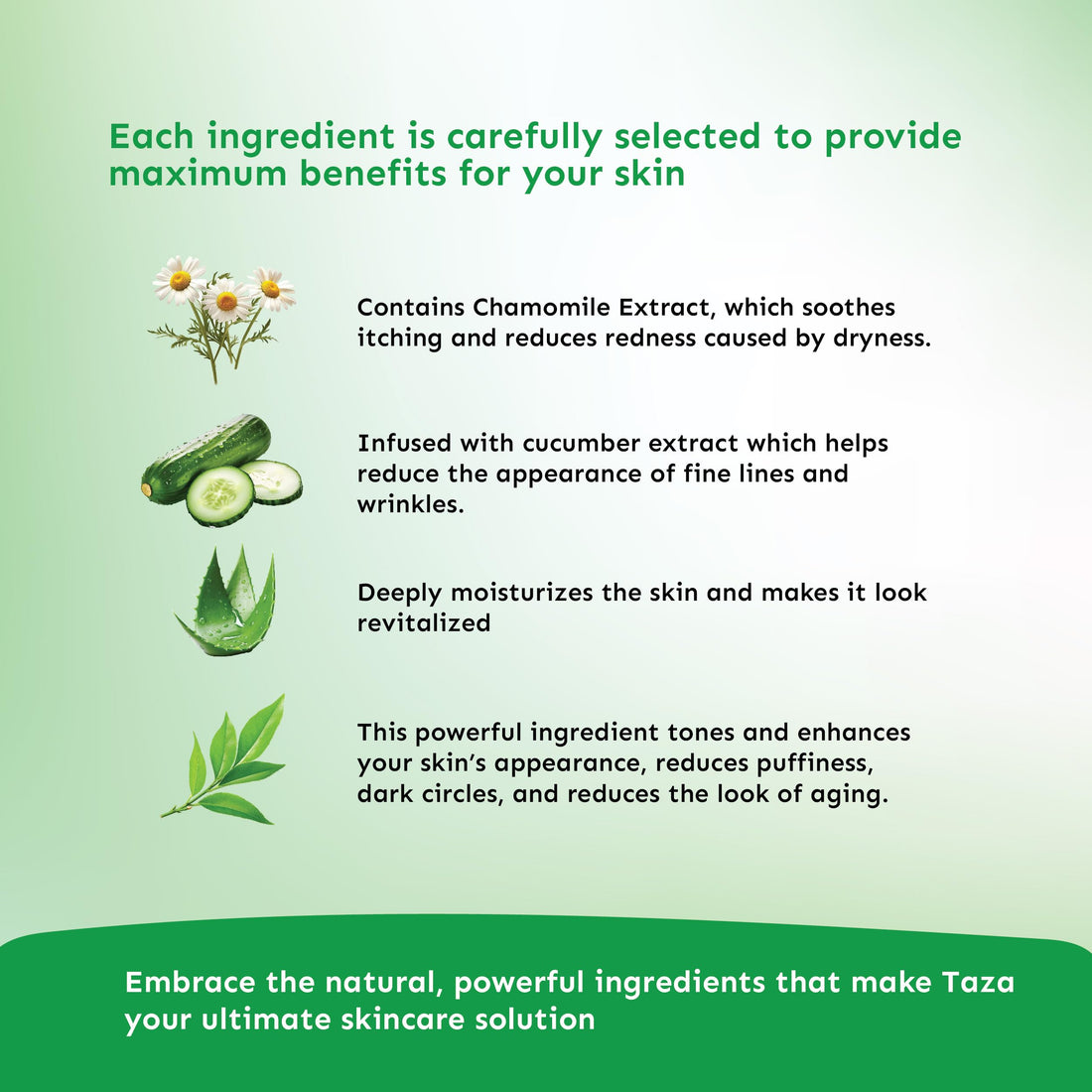 Premium Taza Natural Botanical Extract Facial Cleanser
