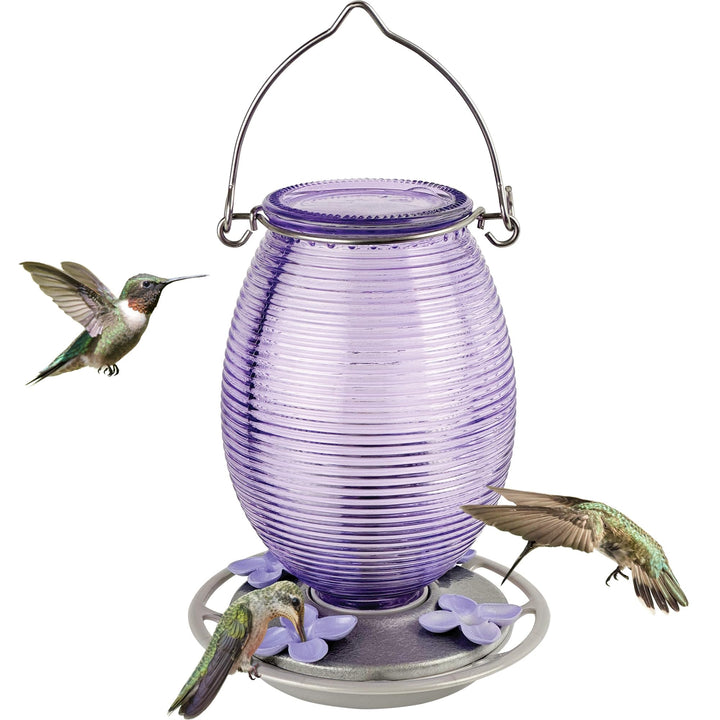 Nature's Way Hanging Glass Hummingbird Feeder for Outdoor Decor, 29 Ounce Capacity Nectar Feeder, 4 Easy to Clean Flexible Ports, Purple Lilac