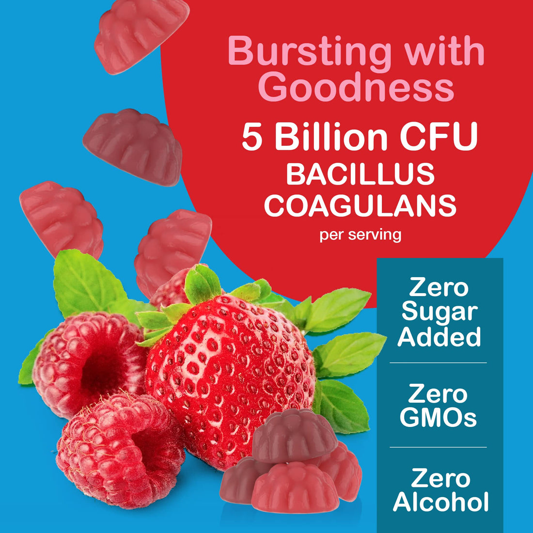 YUM-V'S - Zero Sugar Probiotic Gummies for Digestive Health - Sugar Free Probiotics for Women, Men & Kids - Gut Health Probiotic Gummies for Adults & Kids - Digestive Support Gummy Supplements - 60ct