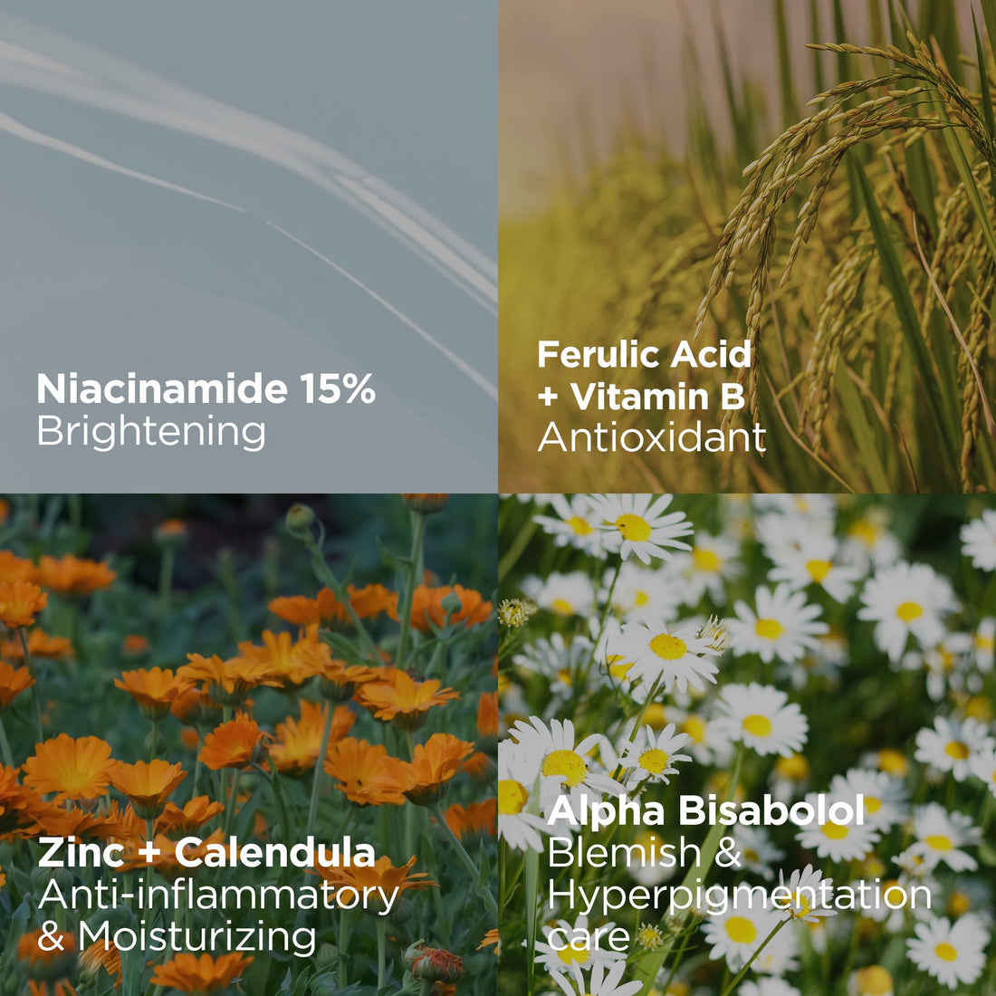 DERMALOGY by NEOGEN Real 15% Niacinamide Serum, Pore Minimizer, Dark Spot Face Serum, Hydrating Vegan Facial Serum with Zinc, Korean Skin Care (30 ml/1.01 Fl Oz)