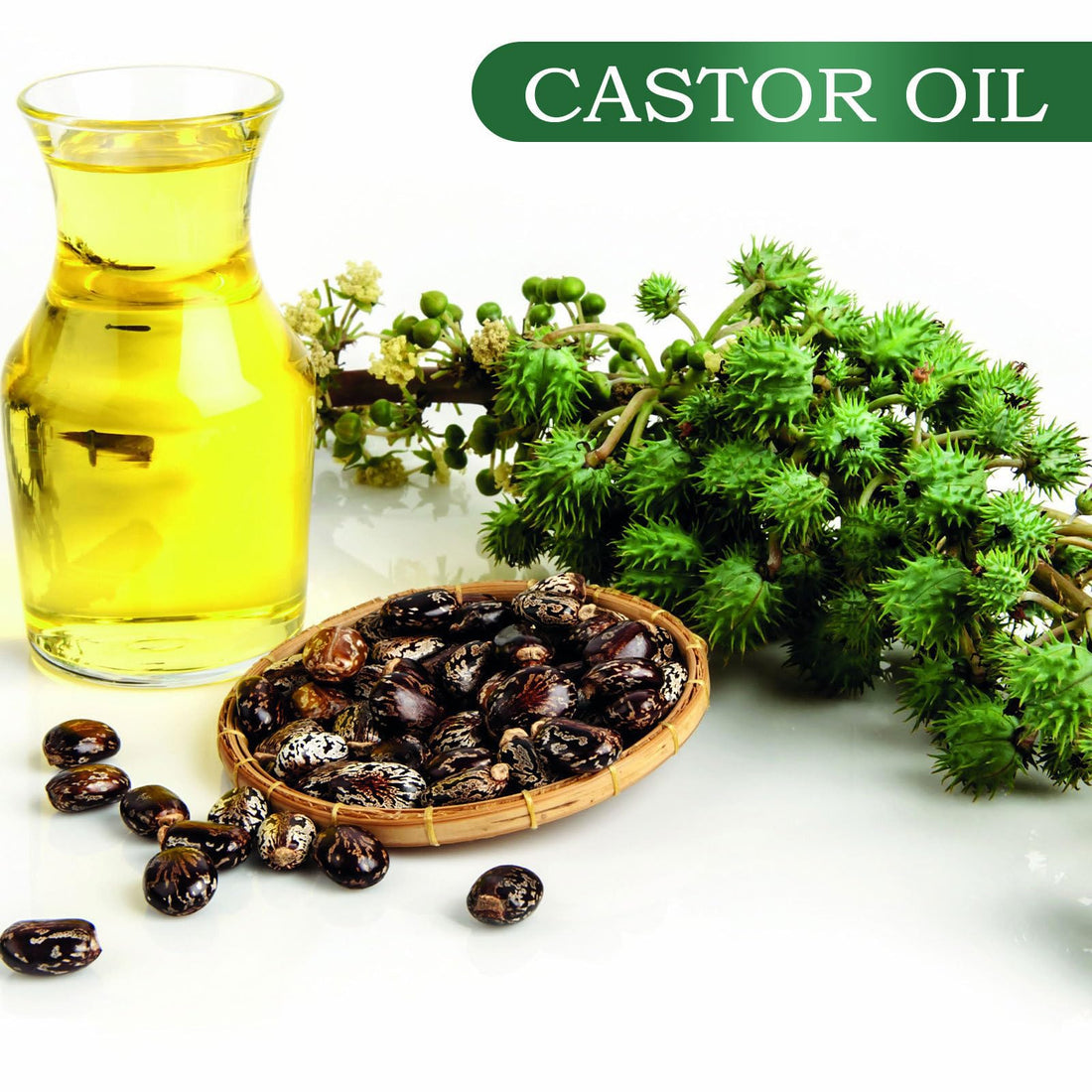 Aceite de Ricino y Castor Orgánico Puro para Crecimiento del Cabello, Pestañas, Cejas y Vello de Mujeres y Hombres - 60ml/2.0 Fl Oz