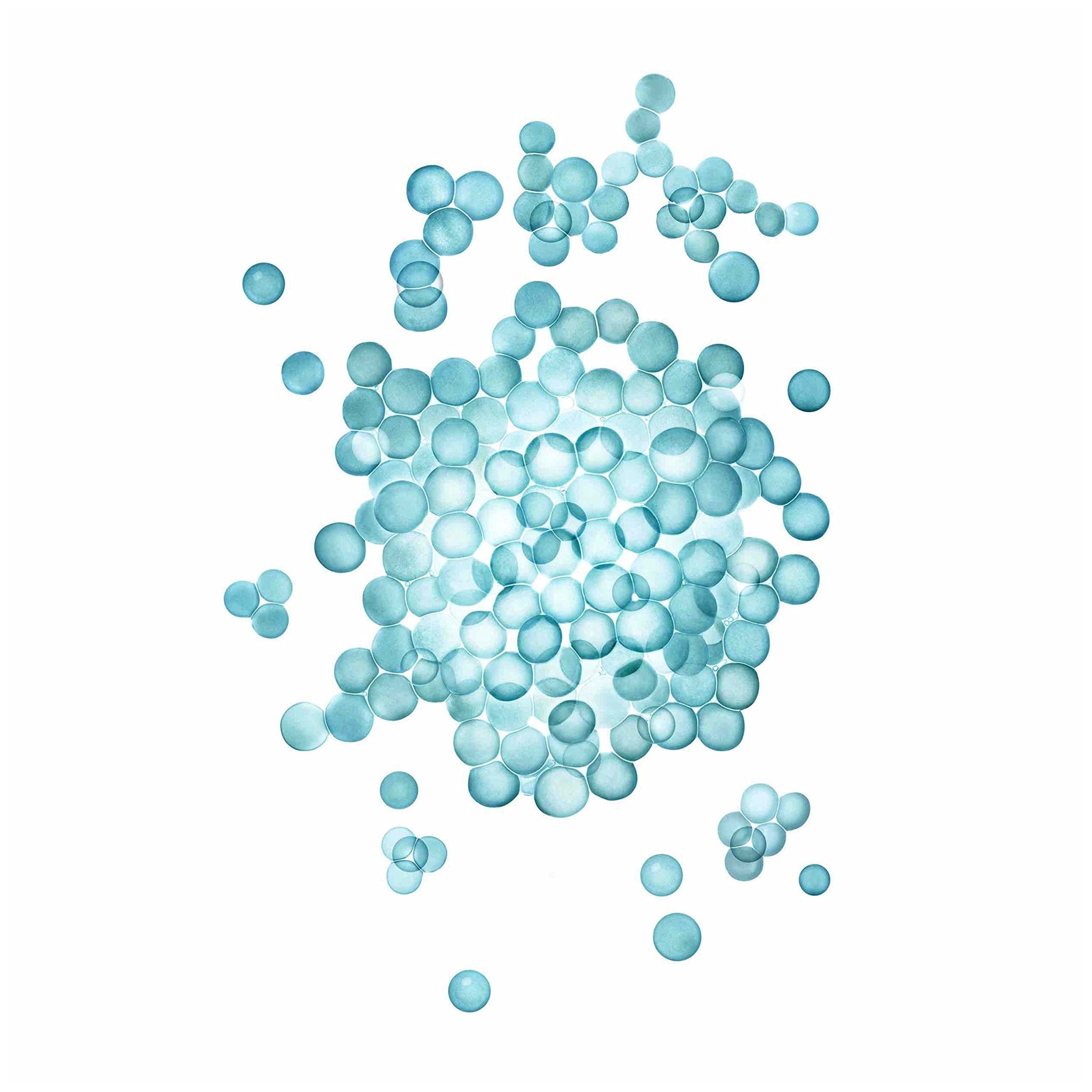 Nexxus Conditioner, Humectress, 5.1Oz