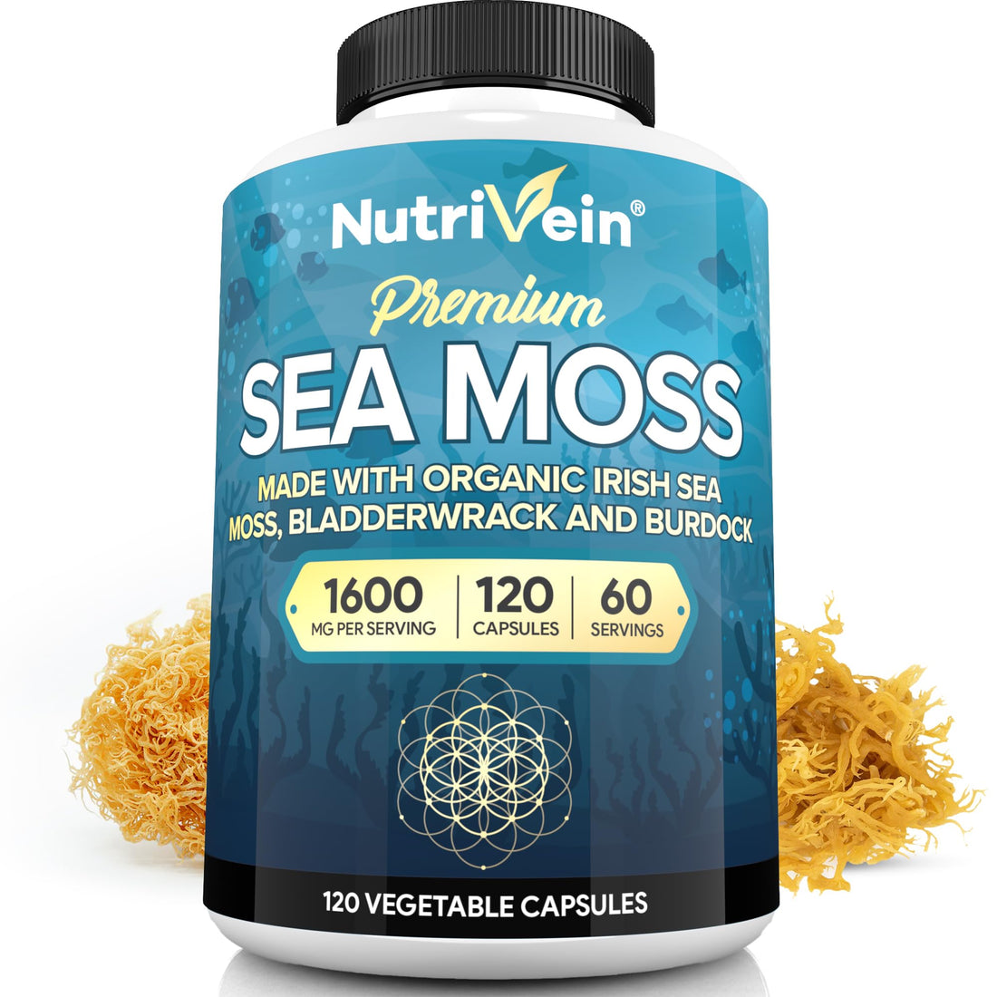 Nutrivein Organic Sea Moss 1600mg Plus Bladderwrack & Burdock - 120 Capsules - Prebiotic Super Food Boosts The Immune System & Digestive Health - Thyroid, Healthy Skin, Keto Detox, Gut, Joint Support