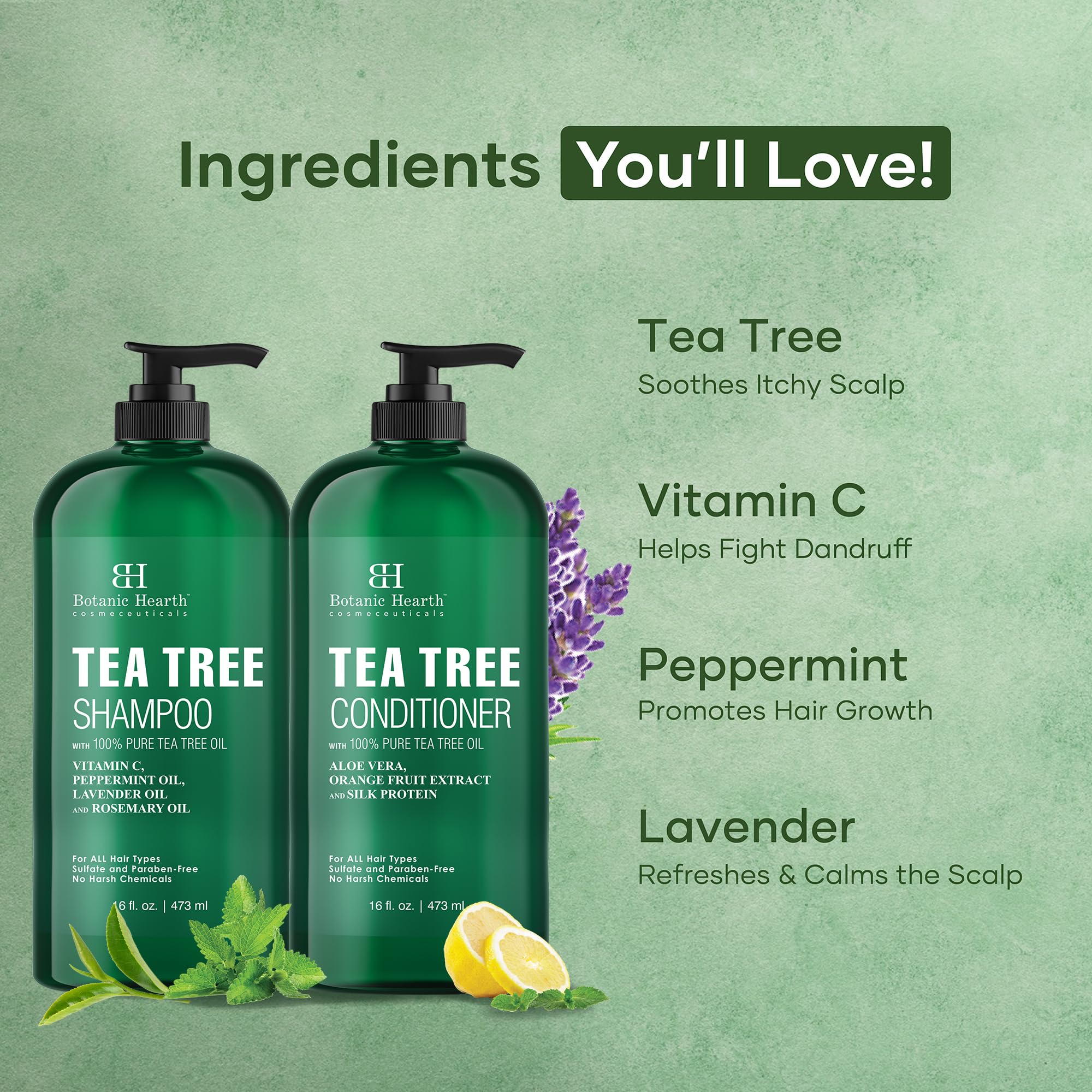 Botanic Hearth Tea Tree Shampoo and Conditioner Set - with 100% Pure Tea Tree Oil, for Itchy and Dry Scalp, Sulfate/Paraben Free - for Men and Women - 16 fl oz each