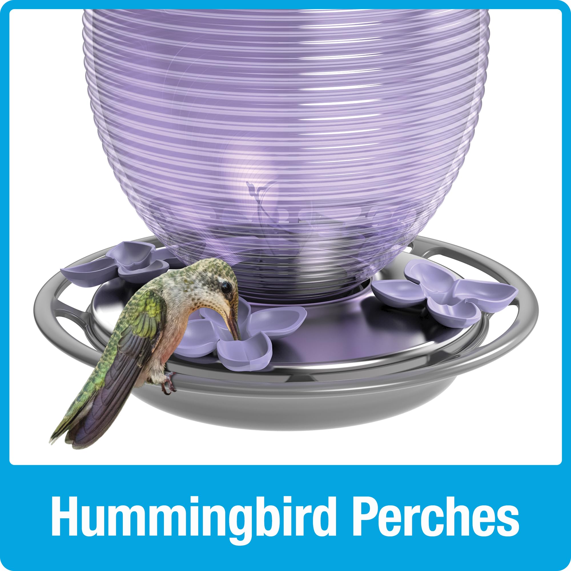 Nature's Way Hanging Glass Hummingbird Feeder for Outdoor Decor, 29 Ounce Capacity Nectar Feeder, 4 Easy to Clean Flexible Ports, Purple Lilac