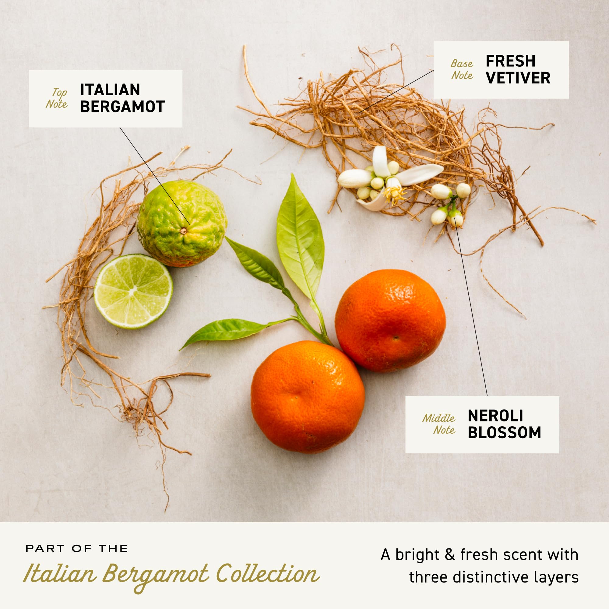 Cremo Rich-Lathering Italian Bergamot Body Wash for Men, Notes of Italian Bergamot, Neroli Blossom, and Fresh Vetiver, 32 Fl Oz