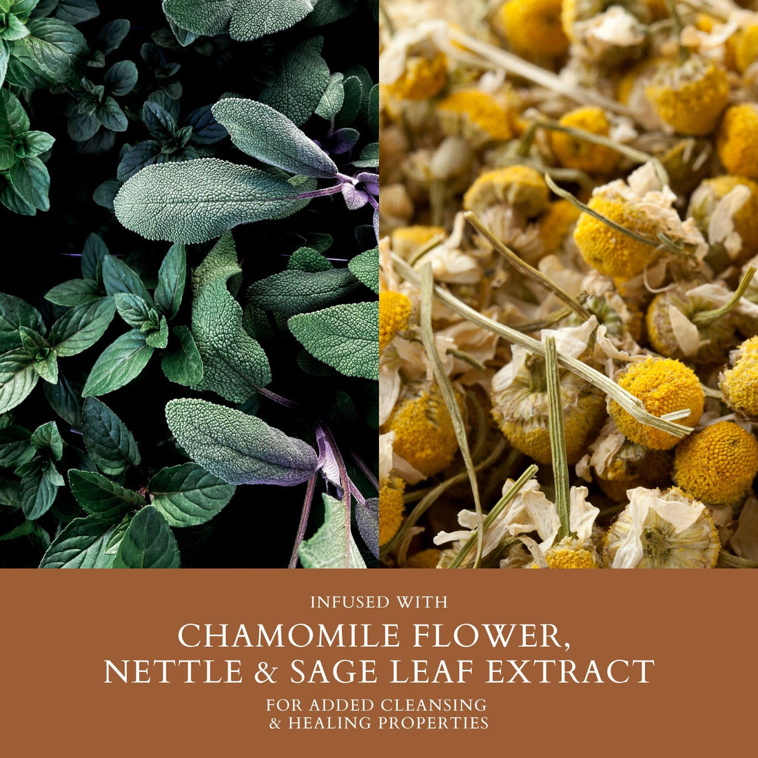 Smart Solutions Dual Action Creme Conditioner, 8 Fluid Ounce