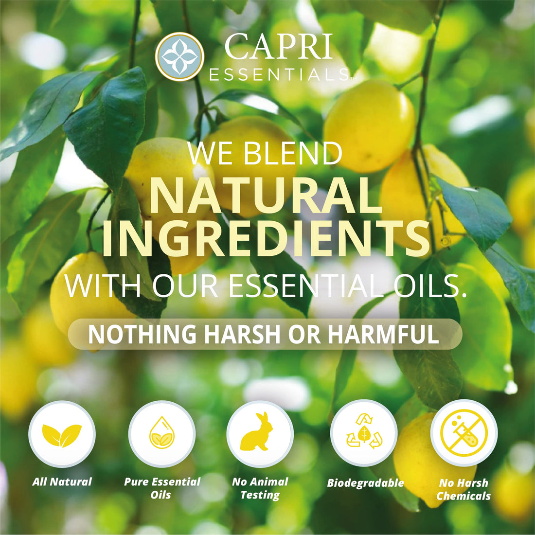 Capri Essentials Natural Hand Soap with Essential Oils - Lemon Verbena, 16 oz.