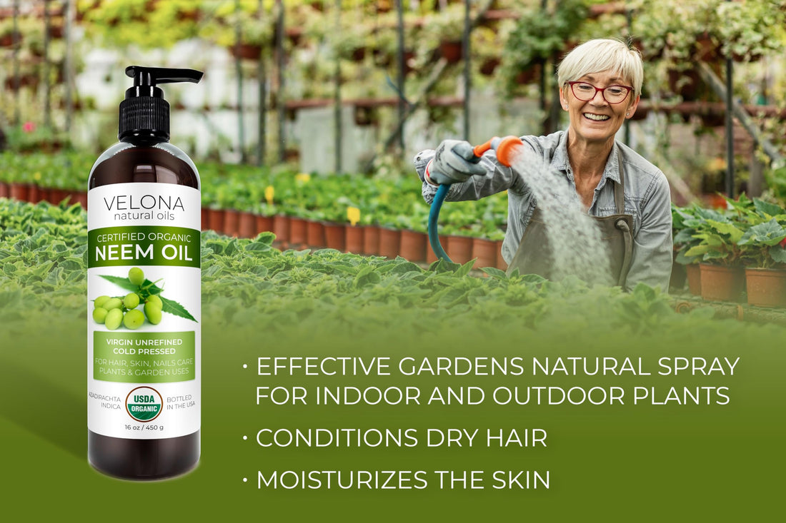 velona Neem Oil USDA Certified Organic - 1 Gallon / 128 Fl Oz | 100% Pure and Natural Carrier Oil | Virgin, Unrefined, Cold Pressed | Hair, Body and Skin Care | Use Today - Enjoy Results