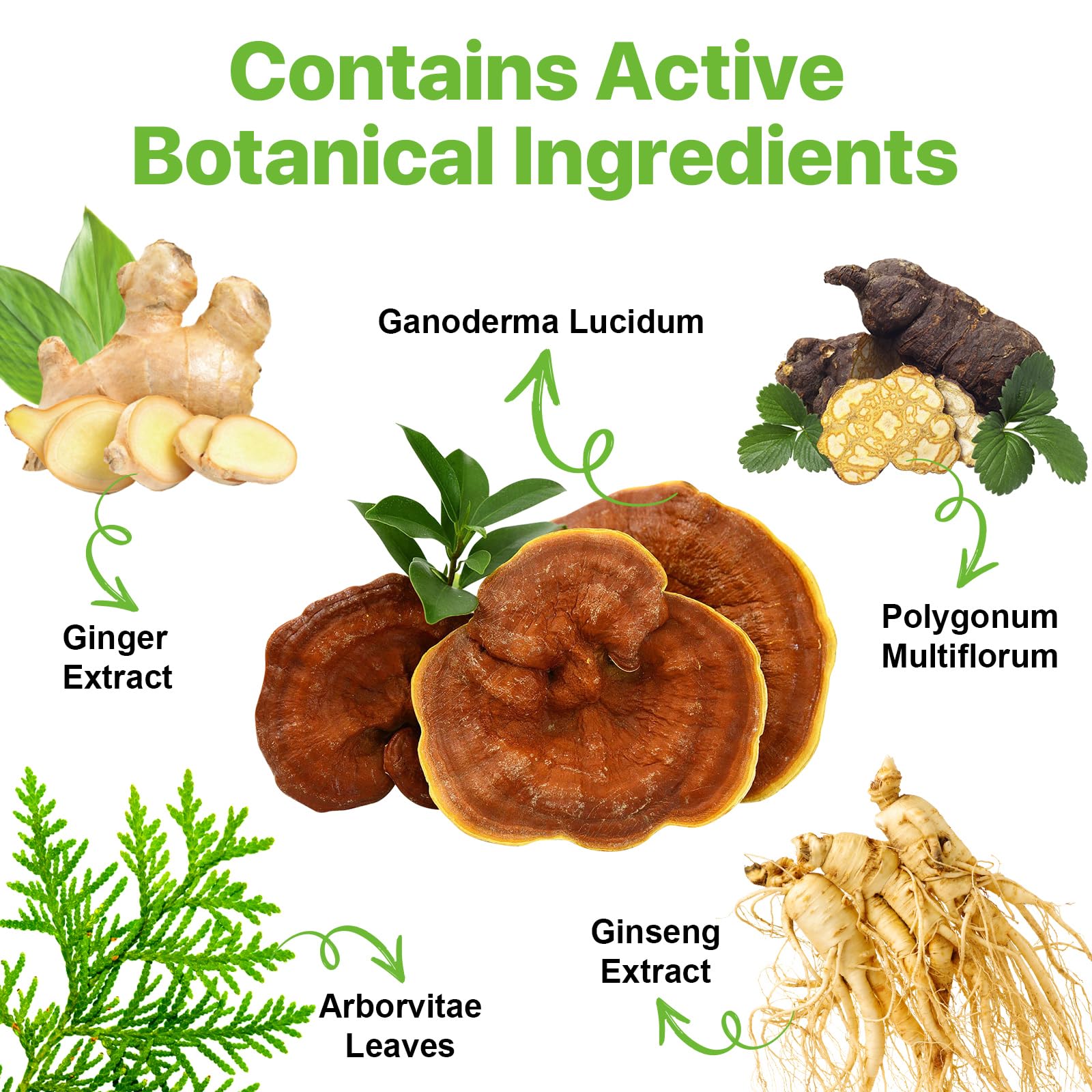 Instant Nature Herbal 3 in 1 Chestnut Brown Hair Dye, 16.9 Fl Oz, Long Lasting, Instant Color Shampoo for Men and Women with Gray Hair Coverage