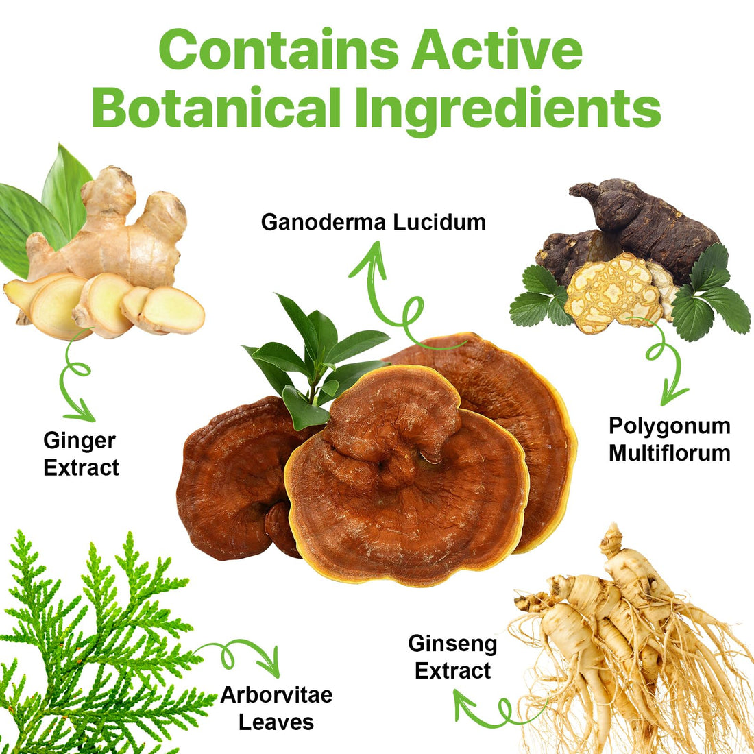 Instant Nature Herbal 3 in 1 Chestnut Brown Hair Dye, 16.9 Fl Oz, Long Lasting, Instant Color Shampoo for Men and Women with Gray Hair Coverage