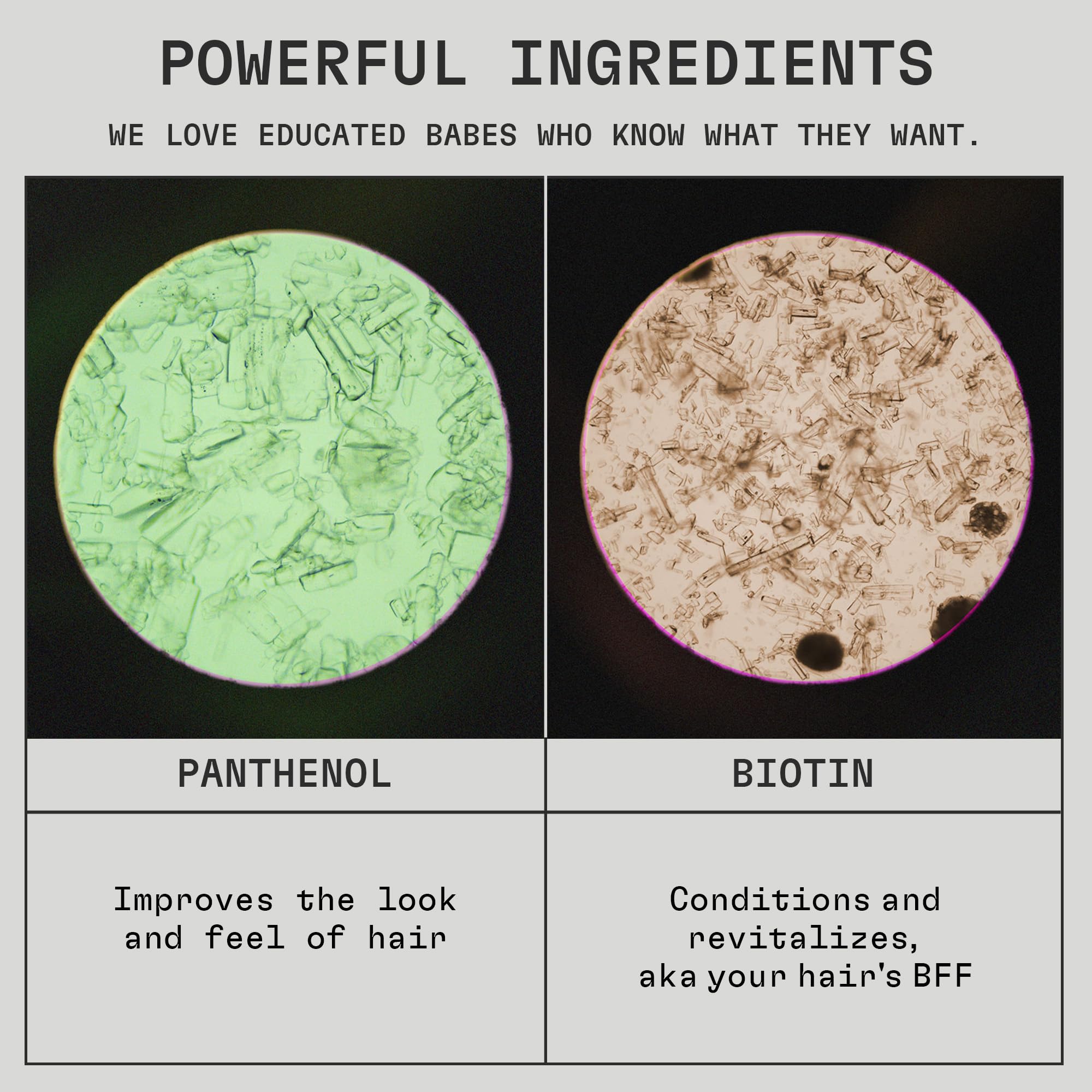 cleanjourney Divine Hydration Hair Conditioner, EWG Verified, Infused with Panthenol and Biotin, For Dry, Brittle Hair, Clean Ingredients, Vegan, Tropical Scent, 8 Fl Oz