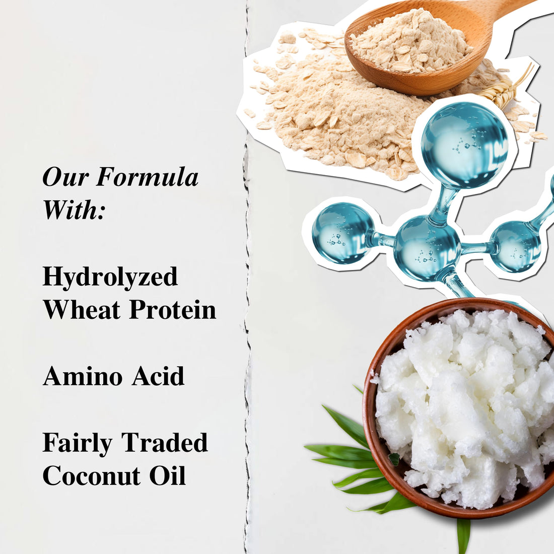 Kiehls - Amino acid Shampoo w/ Pure Coconut Oil - 16 oz.