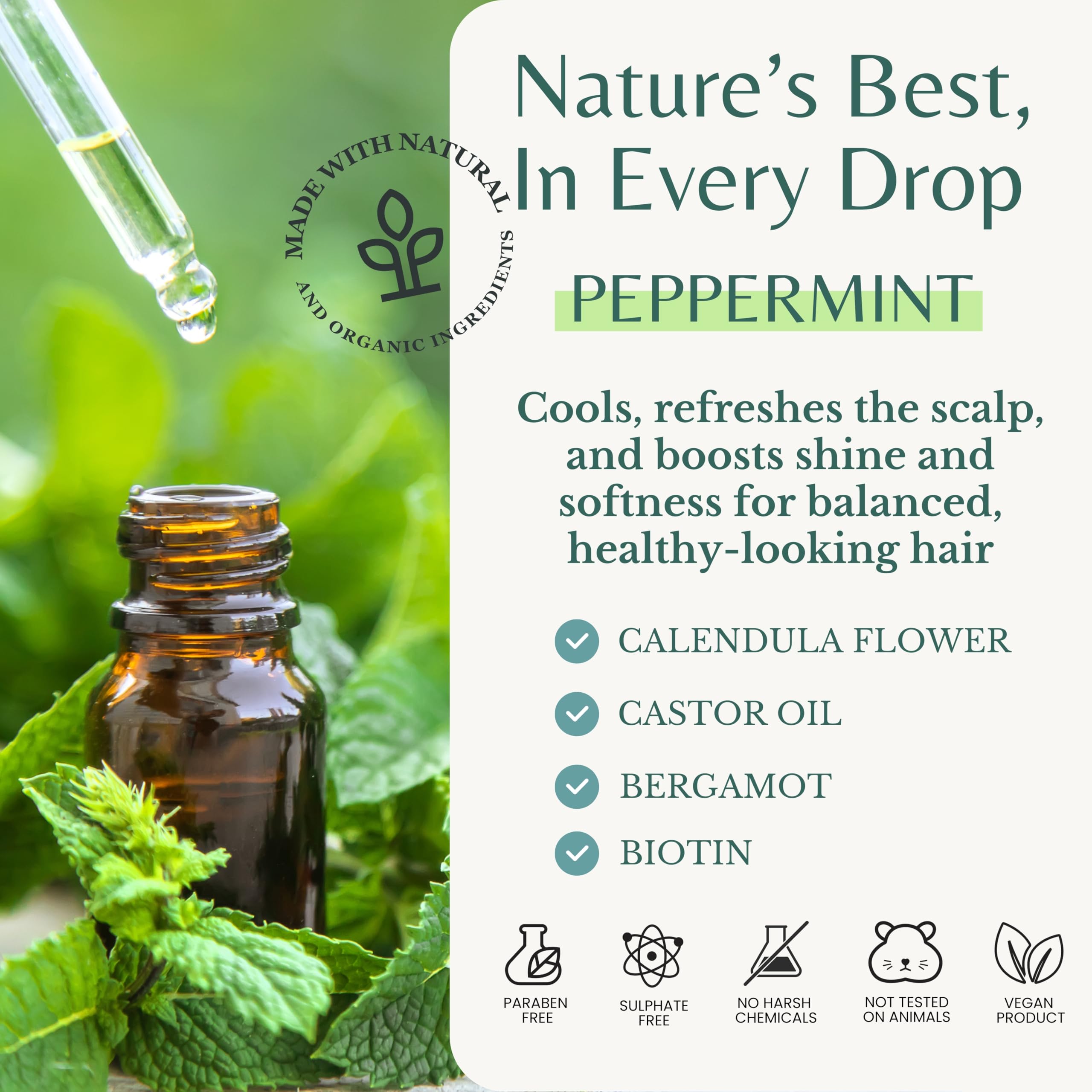 Edenika Botanicals Peppermint Shampoo & Conditioner Set 16oz - Refreshing, Sulfate-Free - Hydrates, Detangles, and Invigorates Scalp - For All Hair Types Including Oily Hair