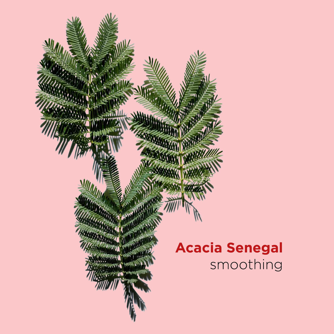 Clarins Instant Smooth Perfecting Touch | Primer, Face Makeup Pore Minimizer | Blurring Primer Targets Wrinkles and Pores | All Skin Types | 0.5 Ounces