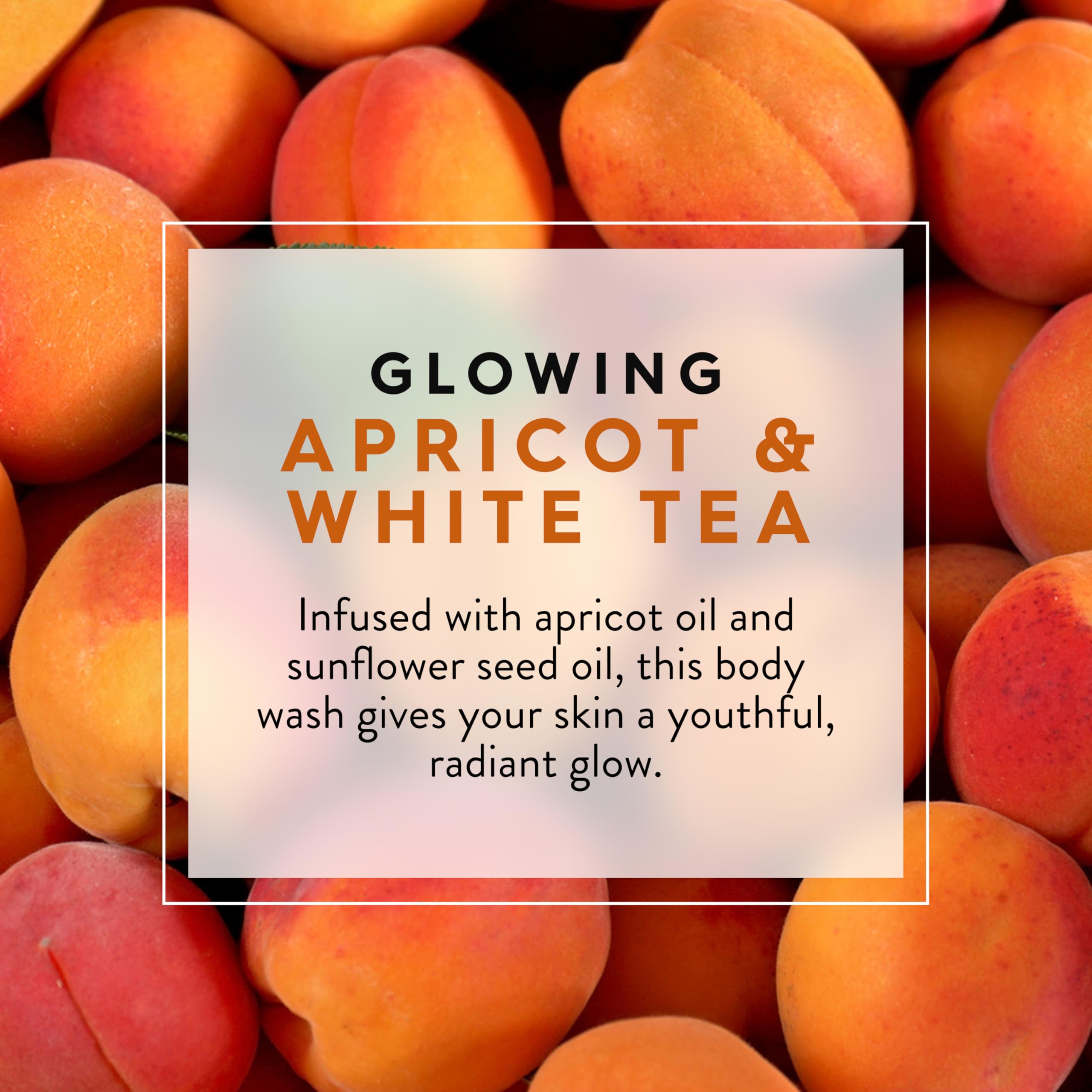 JASON NATURAL PRODUCTS BODY WASH,APRICOT SATIN, 30 FZ