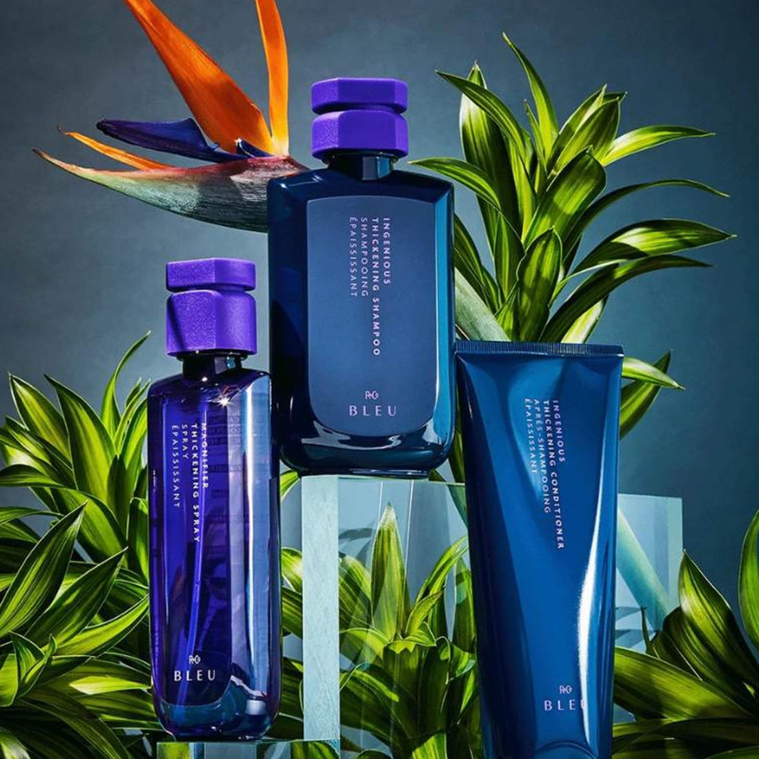 R+Co BLEU Ingenious Thickening Conditioner – Adds Instant Body, Bounce, and Shine, Strengthens, Hydrates, and Visibly Plumps Fine Hair from Roots to Tips – Premium Hair Care, 6.8 oz