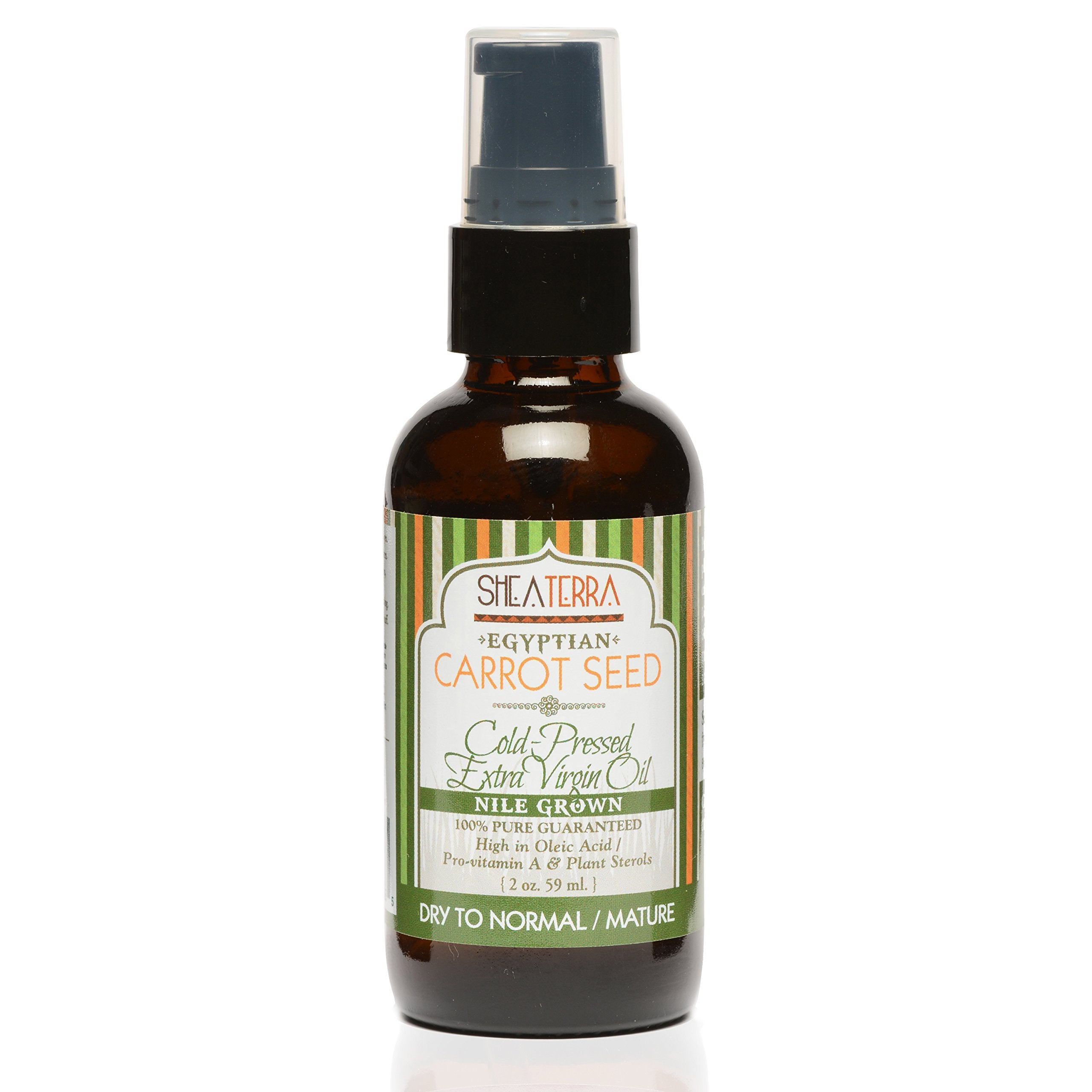 Shea Terra Egyptian Carrot Seed Cold-Pressed Extra Virgin Oil | Nutrient Rich, All Natural & Organic Oil with Anti-Aging Vitamin A, E and Beta-Carotene for Maturing and Damaged Skin Types ââ‚¬â€œ 2 oz