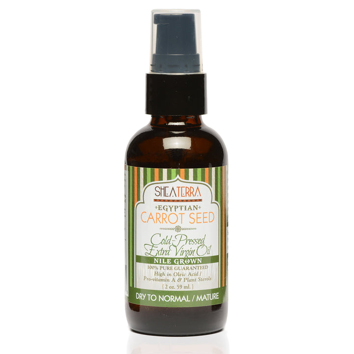 Shea Terra Egyptian Carrot Seed Cold-Pressed Extra Virgin Oil | Nutrient Rich, All Natural & Organic Oil with Anti-Aging Vitamin A, E and Beta-Carotene for Maturing and Damaged Skin Types ââ‚¬â€œ 2 oz