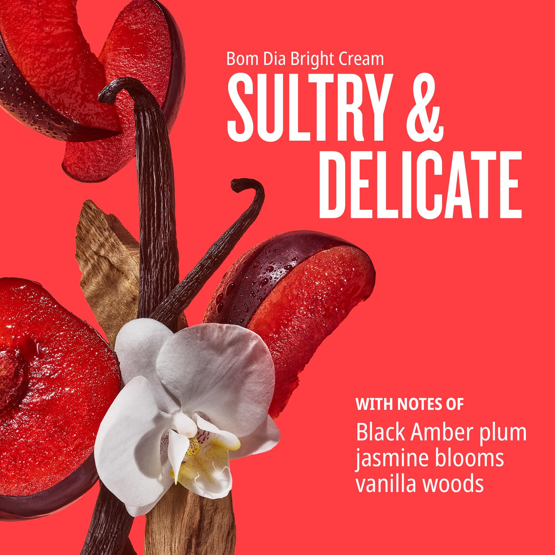 Sol de Janeiro Mini Body Cream Trial Set - Travel Size Gift Set - Beauty Stocking Stuffers - Brazilian Bum Bum Cream & Bom Dia Bright Cream - 2 Piece Set 25 mL - $24 Value