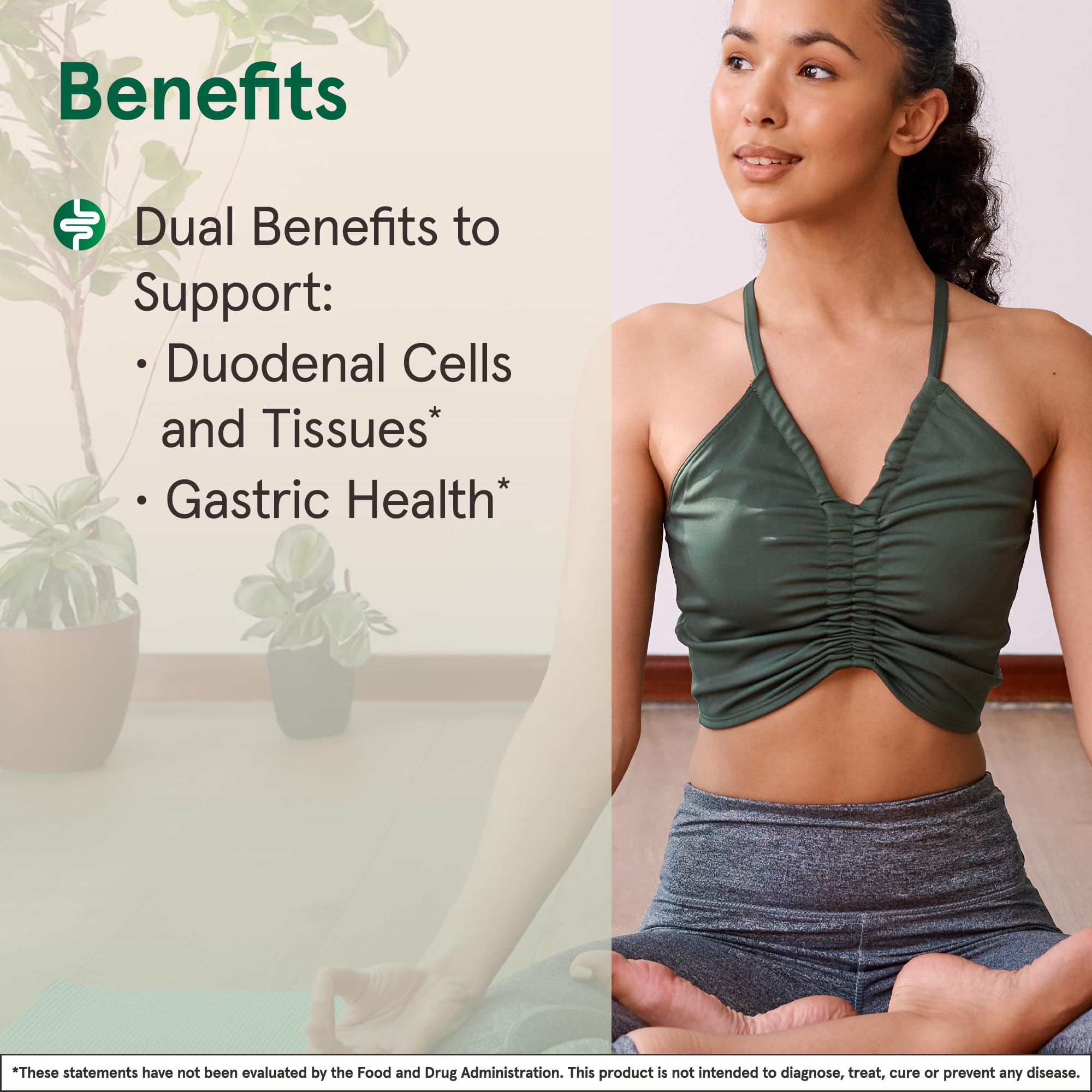 Jarrow Formulas Mastic Gum 1000 mg, Dietary Supplement for Gastrointestinal Health Support, 120 Veggie Capsules, 60 Day Supply, Pack of 12